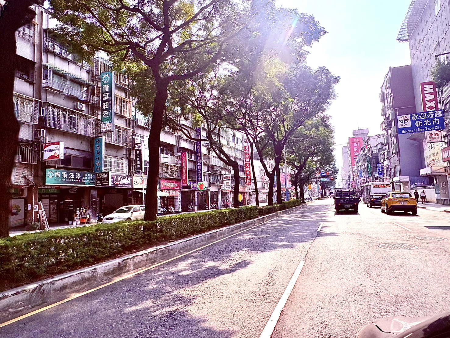  5.中山路修剪