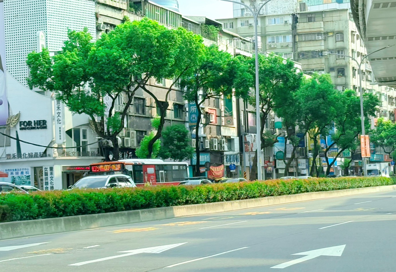 6.文化路修剪