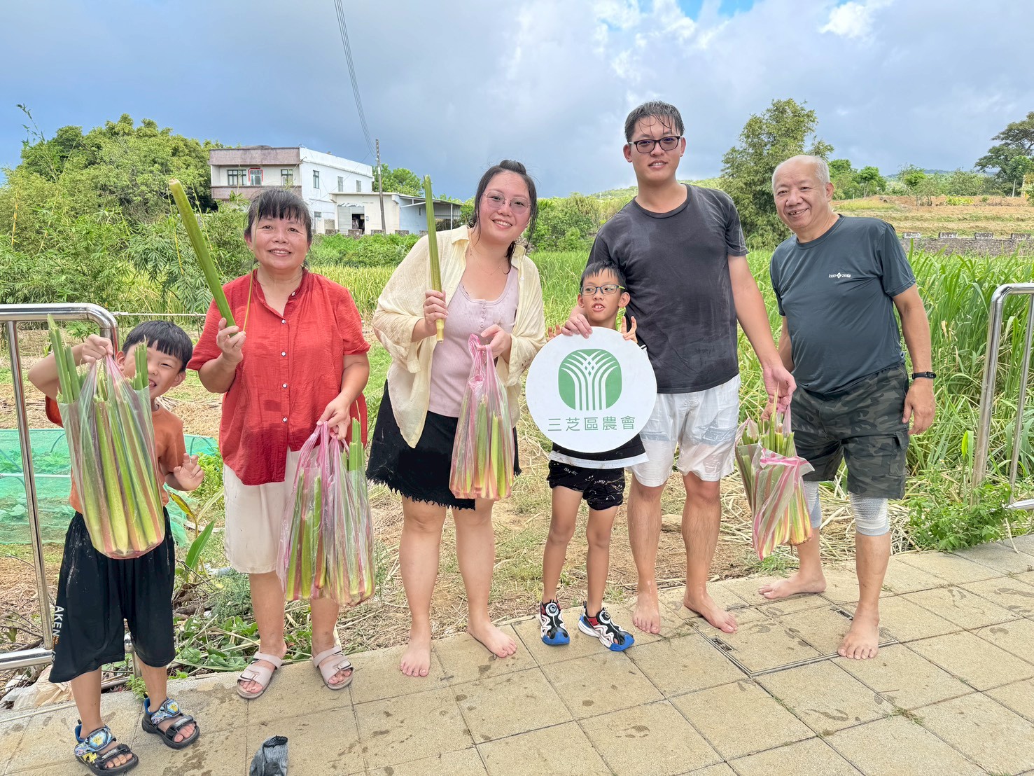 民眾走進三芝田間採收茭白筍，親近土地並體驗在地農村生活