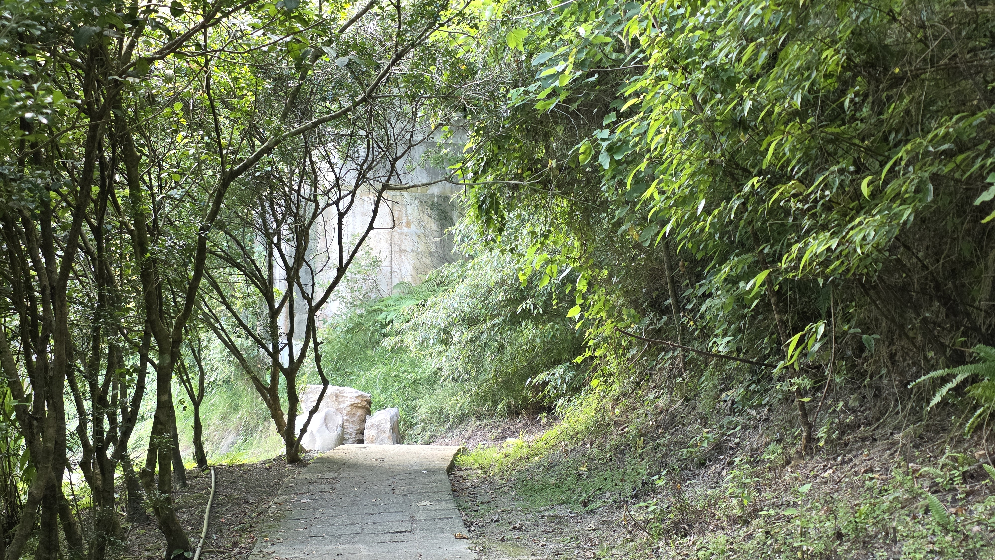 石碇淡蘭古道山林，透過繪畫與聲音，在自然之中展開一段安靜而深刻的感官旅程