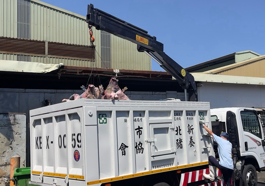 確認車廂內載運斃死豬數量。