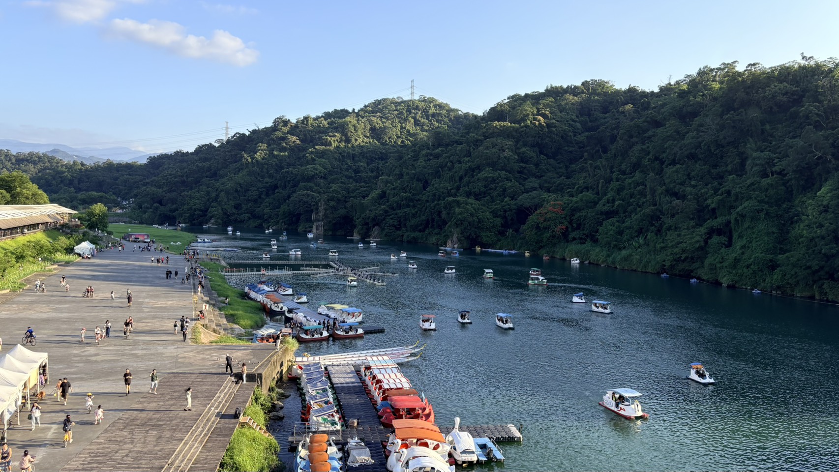 天鵝船悠遊湖面，交織出迷人水岸風景，適合親子同遊、悠閒漫遊。