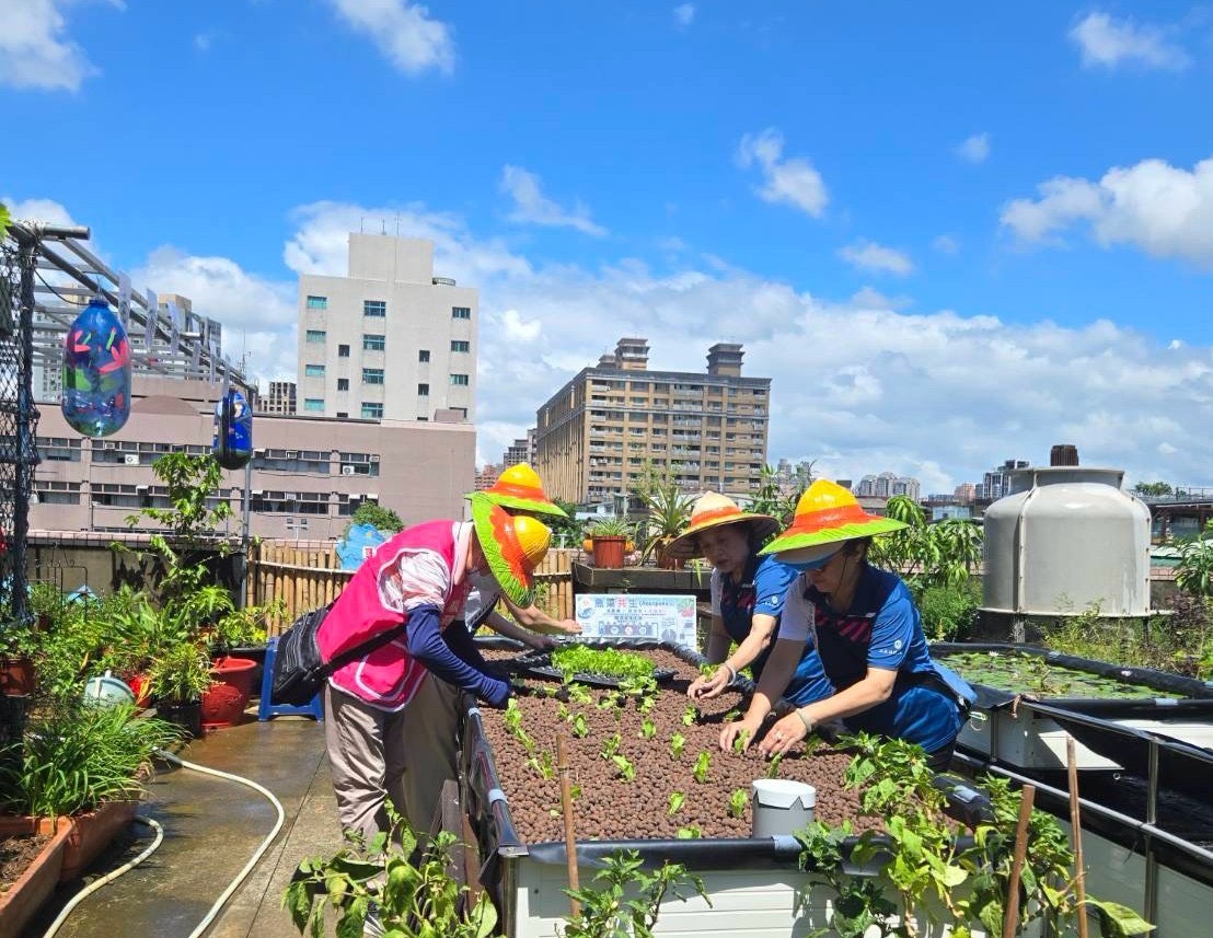 圖3-社區頂樓也能營造為可食地景園圃，融合美感與實用性，享受親手種植、採收的樂趣！(圖為115年新北市社區綠美學競賽可食地景組優選社區-板橋區三民社區發展協會)