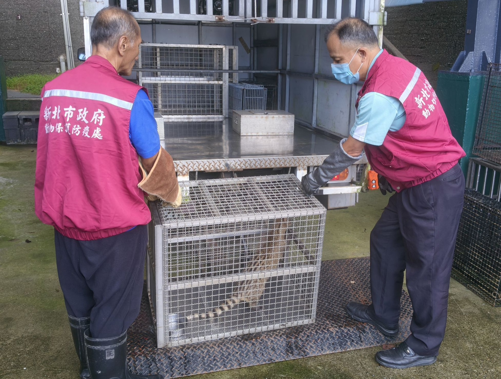 新北市動保處野生動物救傷收容中心安置入所