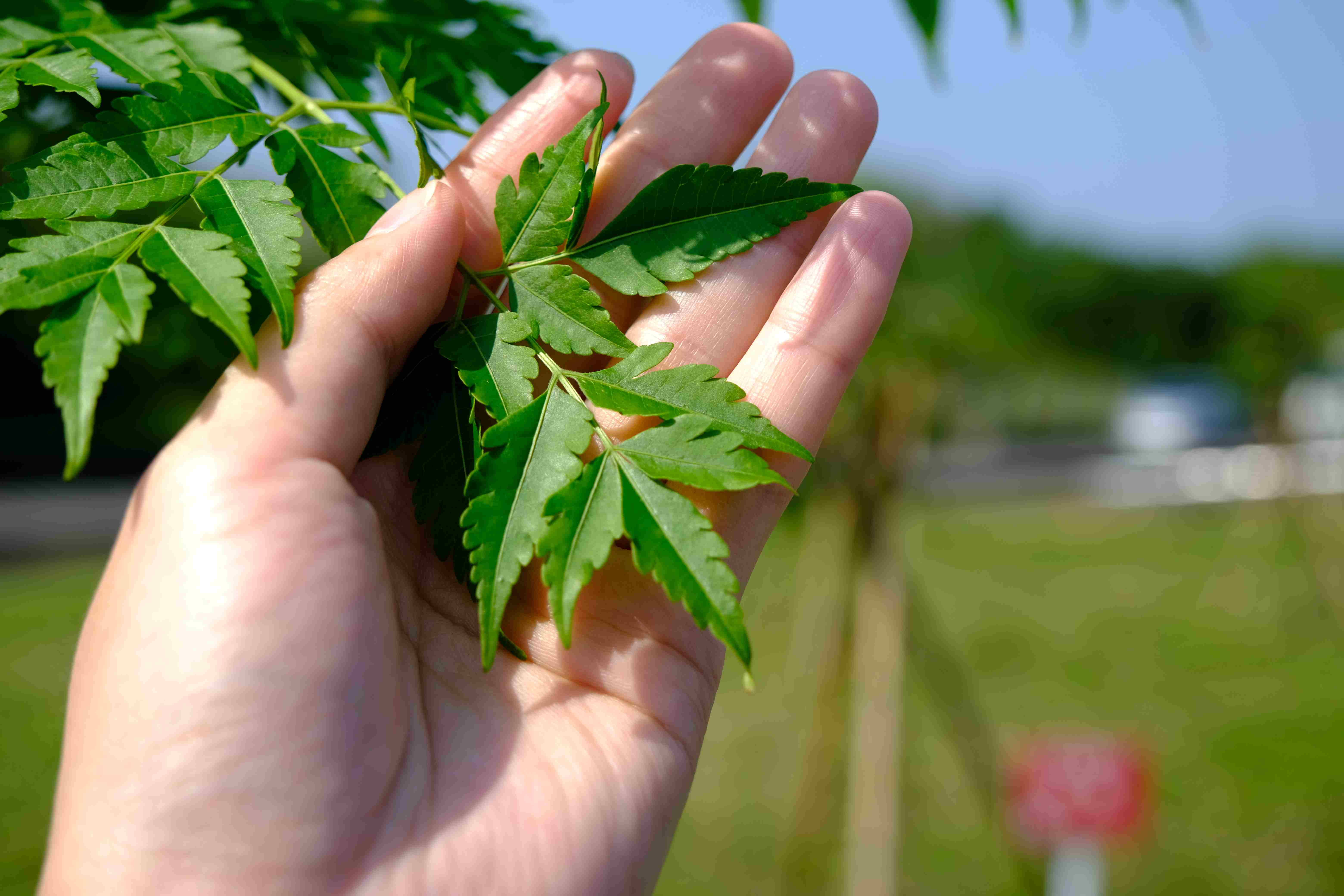 拍下你對樹木的情感經歷，投稿拿獎金