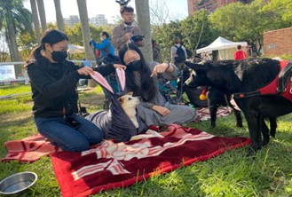 民眾可與自家毛寶貝在舞台前綠地開心野餐