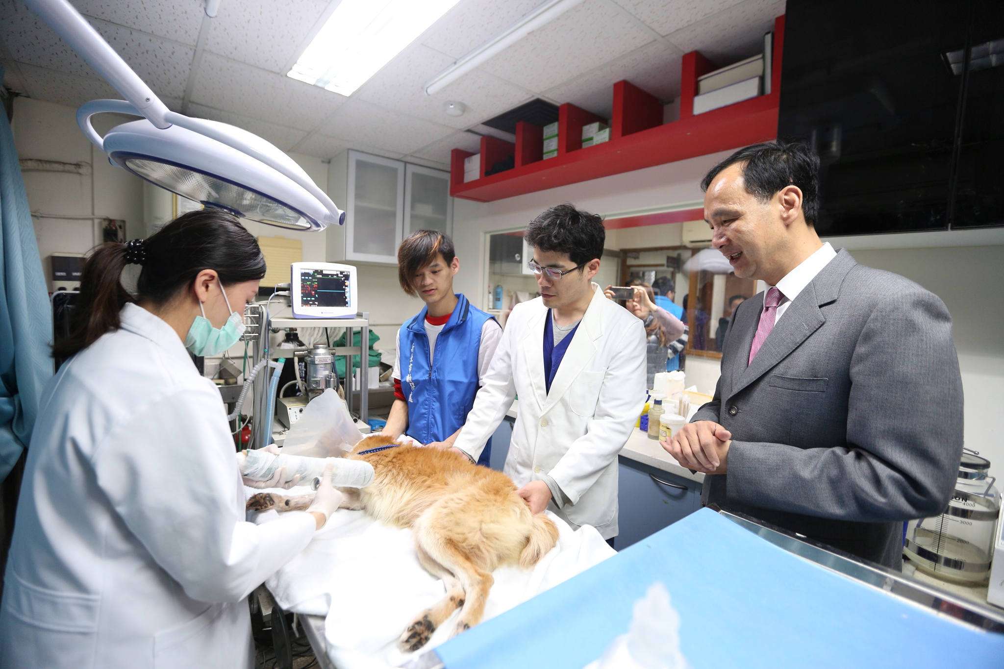 朱市長慰勞新北市政府動保處同仁並實地了解動物醫療過程