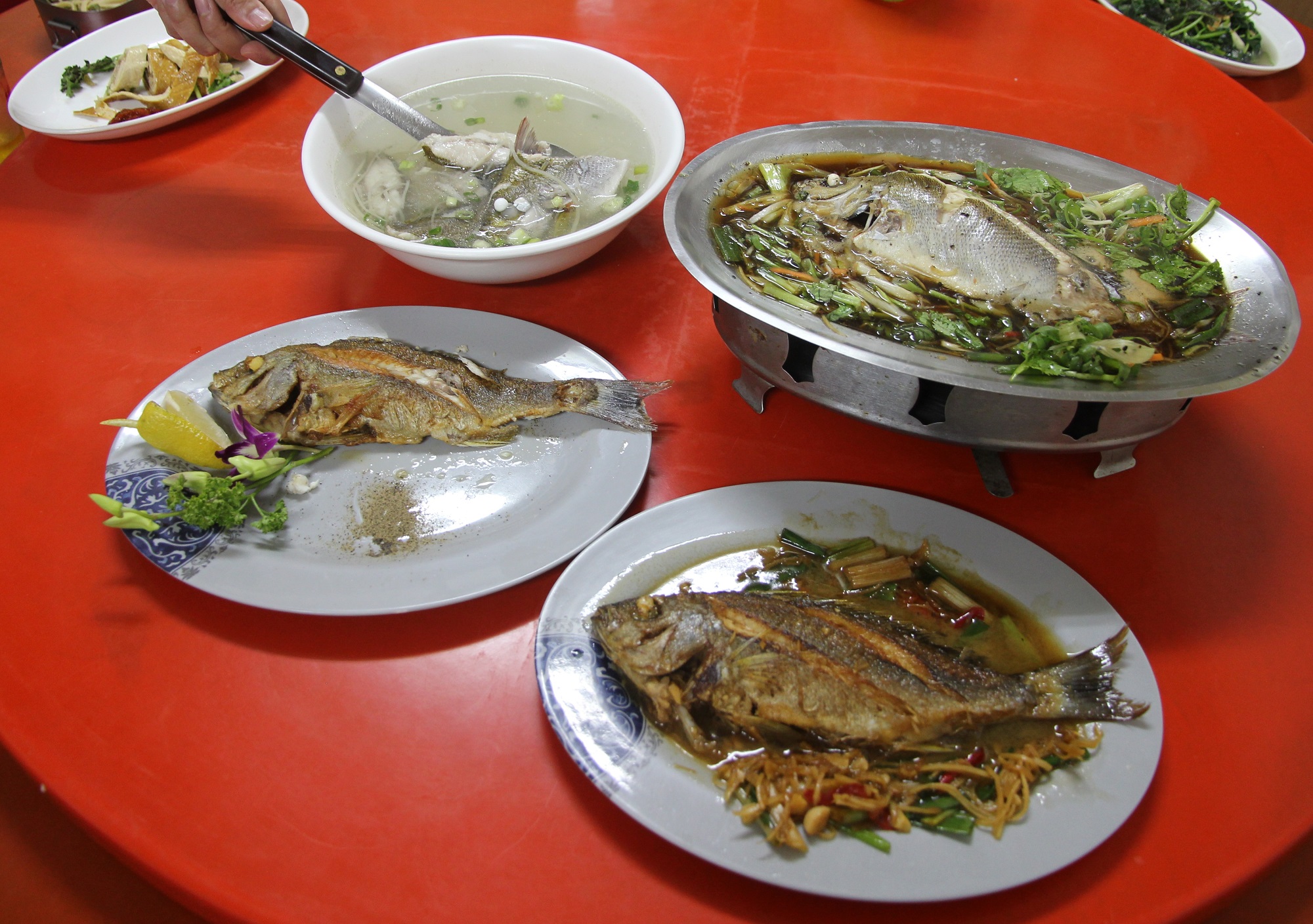 各式黃雞魚美味料理，等大家來品嘗（左上黃雞魚湯、右上清蒸黃雞魚、左下乾煎黃雞魚、右下紅燒黃雞魚）