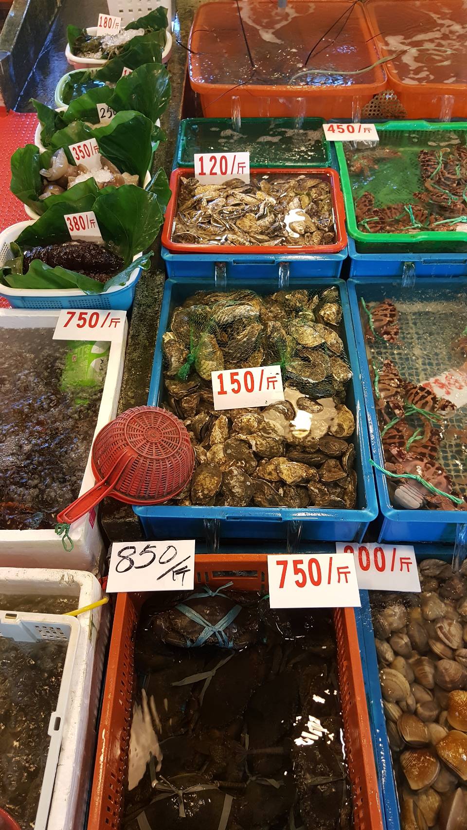 各式漁貨標價
