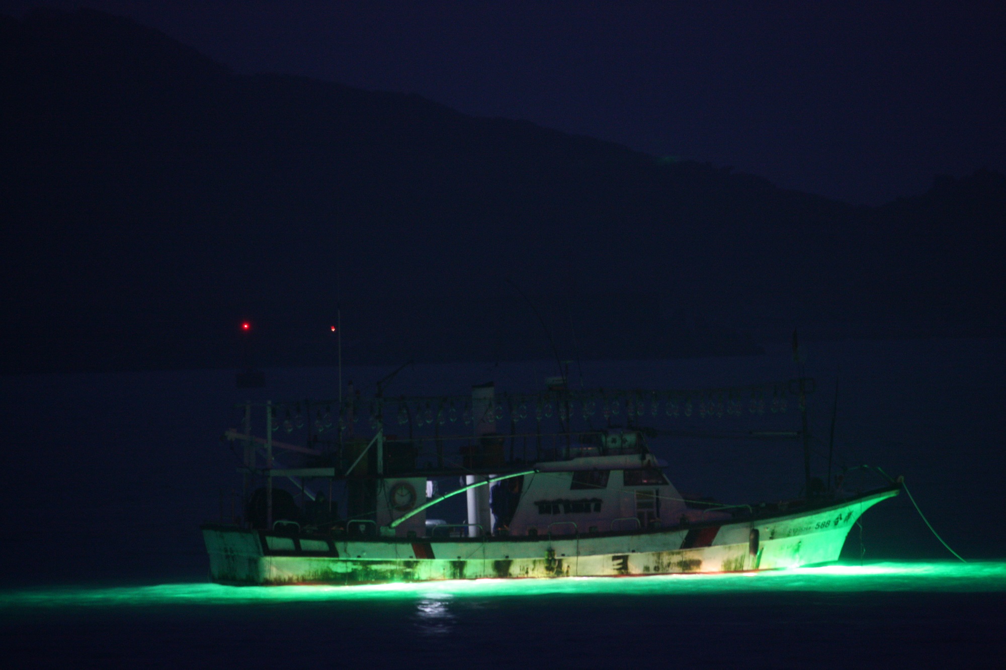 深澳漁港夏季限定的夜晚美景－綠光船