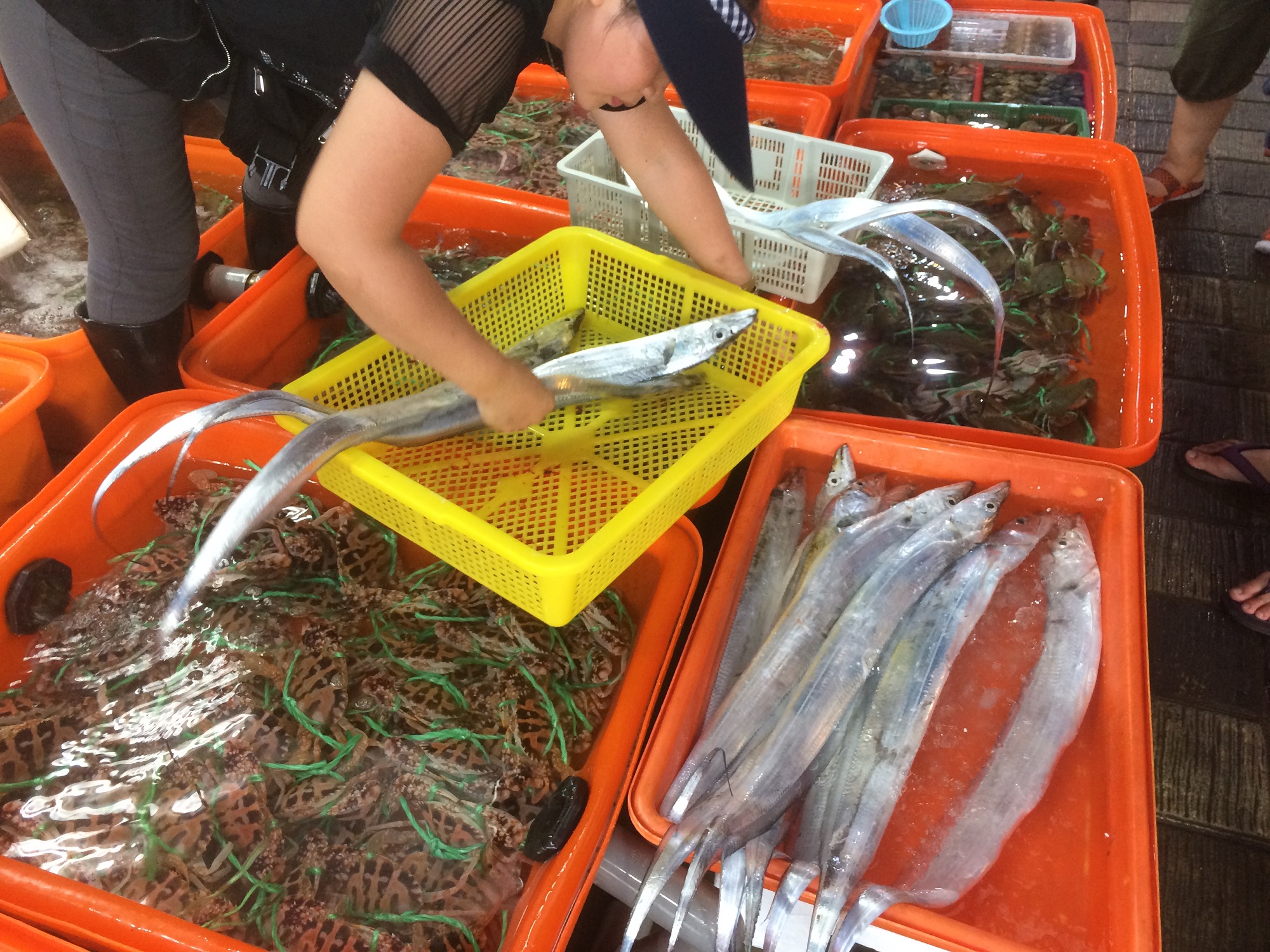 龜吼漁夫市集魚貨新鮮多元，是採買海鮮的熱門景點