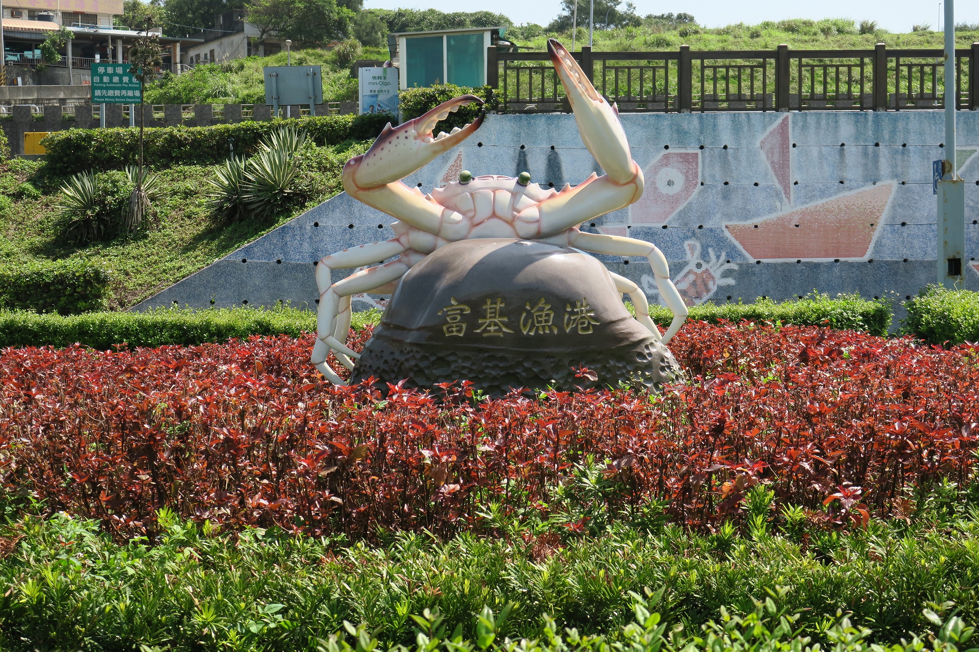 富基漁港花圃的花蟹雕塑說明了這裡也是萬里蟹的大本營