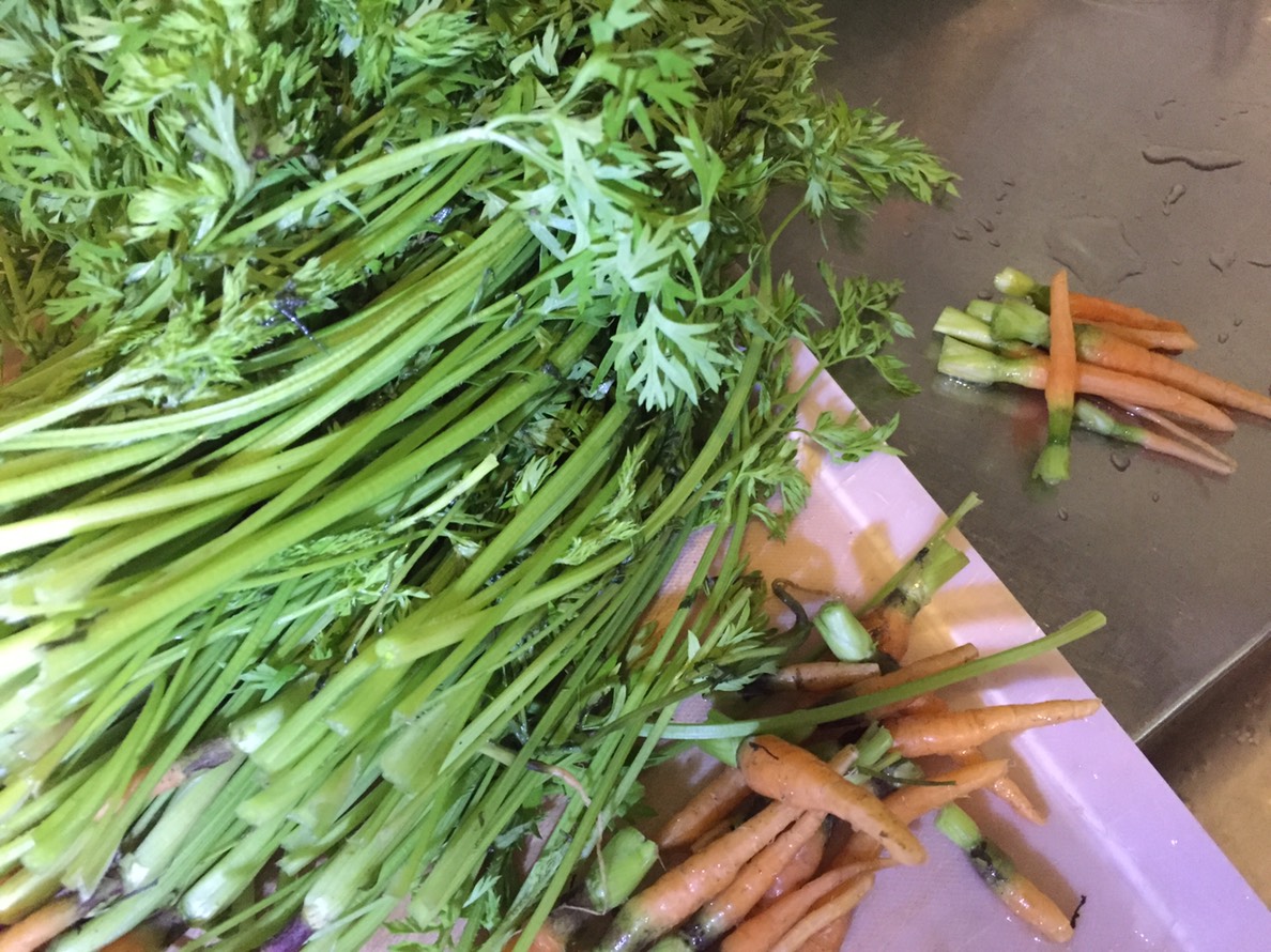 葉蘿蔔(左為蘿蔔葉、右為被蔬苗的小蘿蔔)