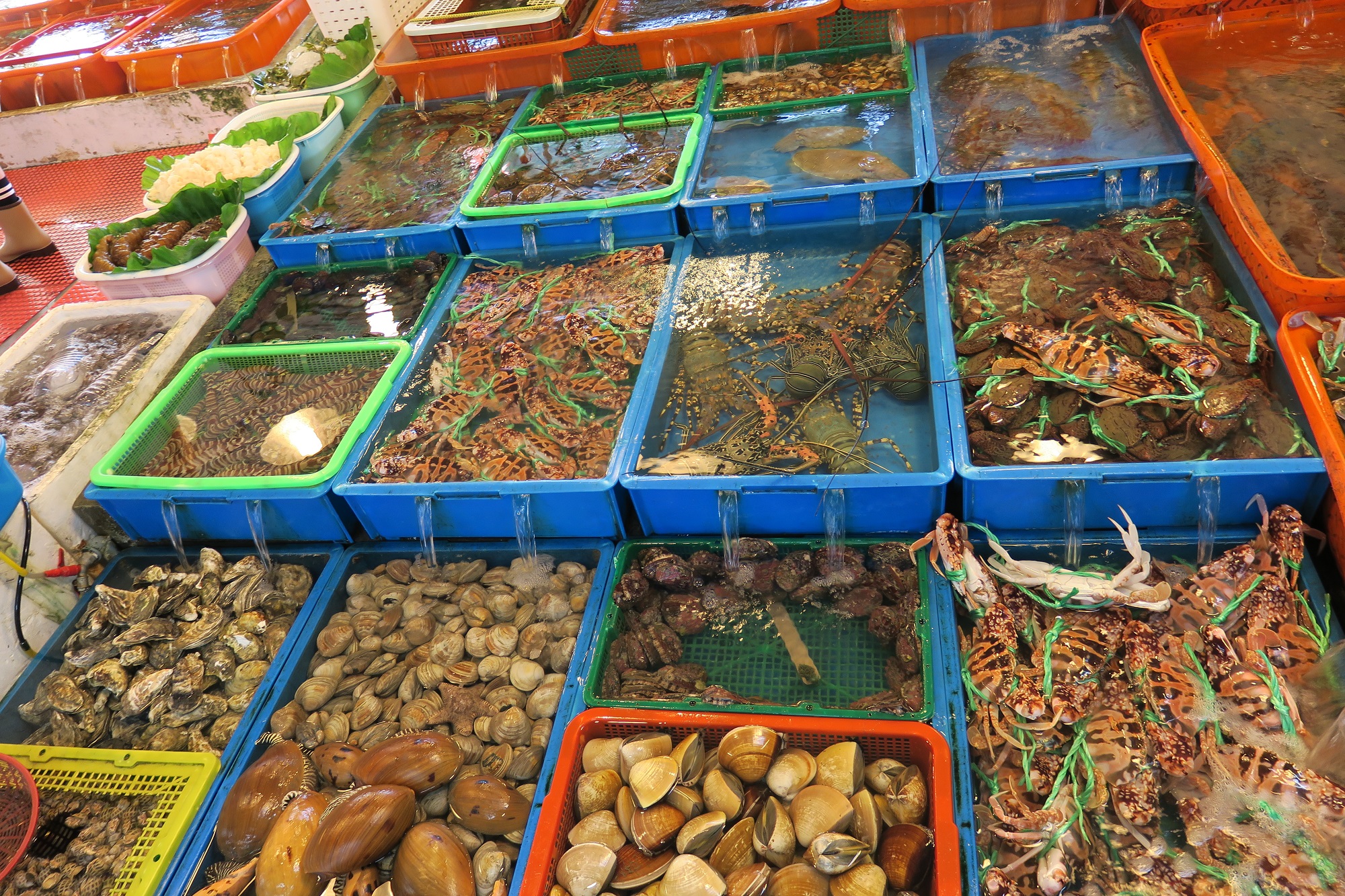 在富基魚市能買到當天規格最好、質量最佳、最鮮活的萬里蟹或其他海鮮