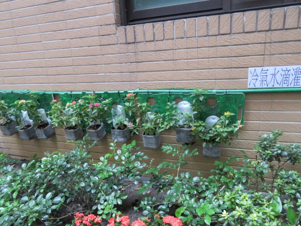 白金級_及第金站-資源循環面向_使用回收冷氣水滴灌盆栽