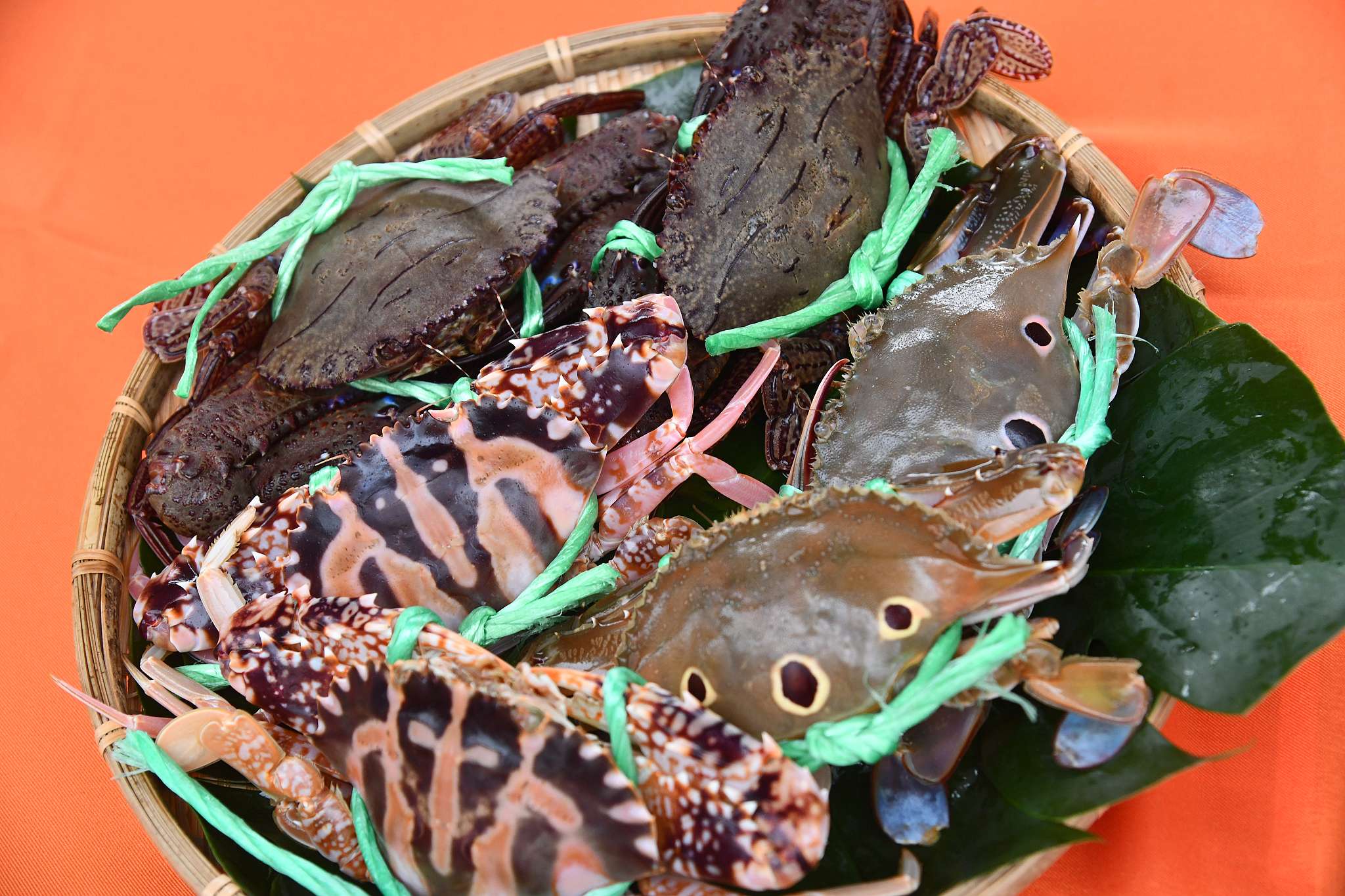 萬里蟹肉質甘甜、營養，是北海岸豐富漁產代表。