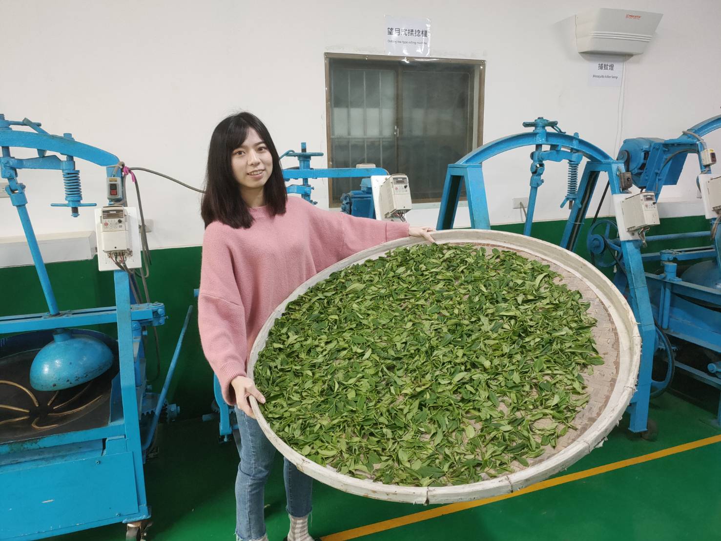 黃渝婷介紹自家茶葉