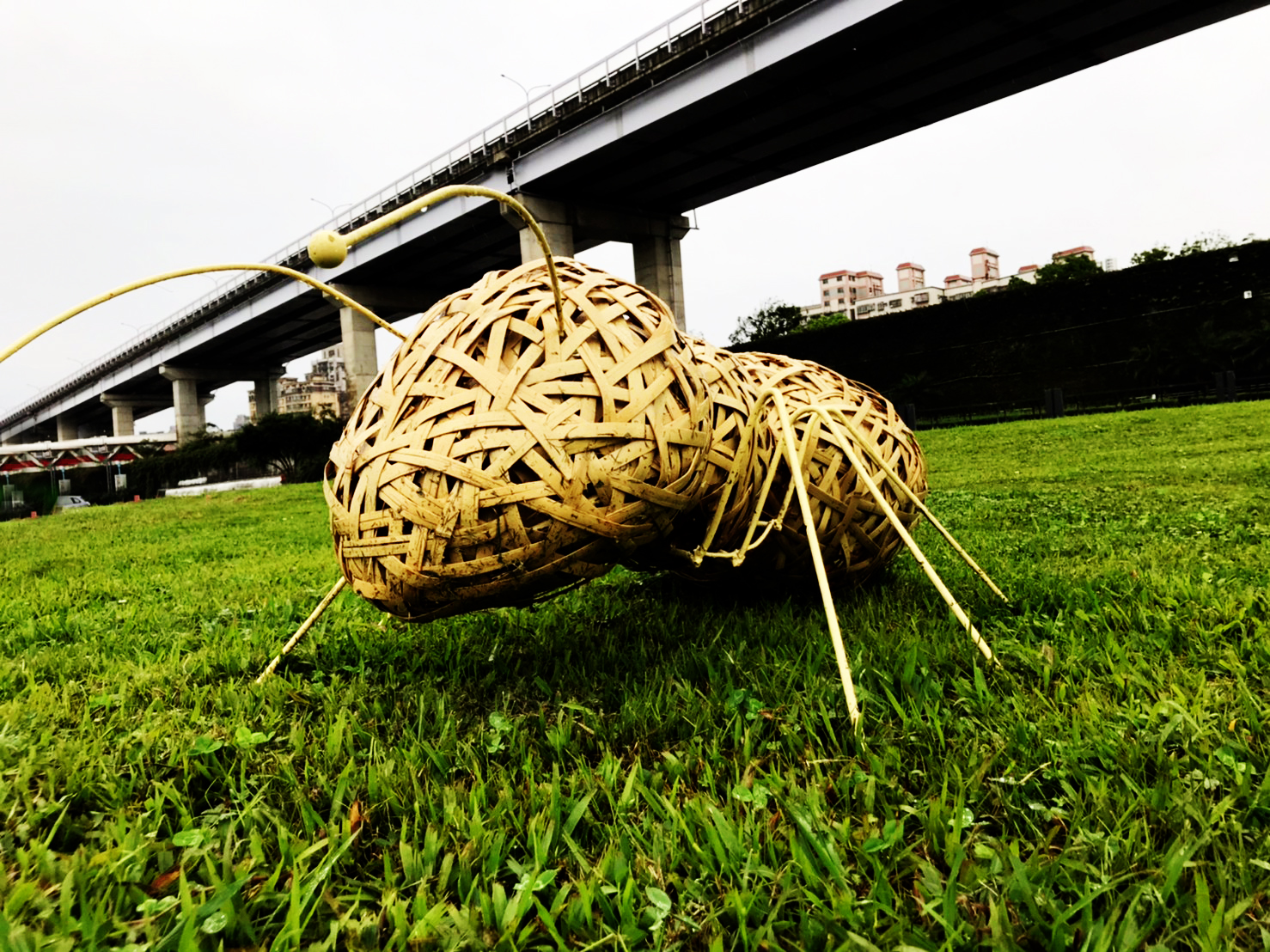螞蟻造型立體竹編，為綠油油的草地增添趣味亮點