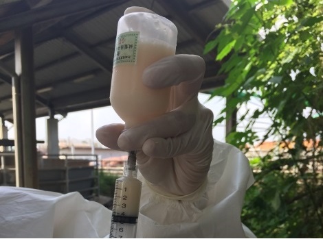 新型牛流行熱油質佐劑疫苗