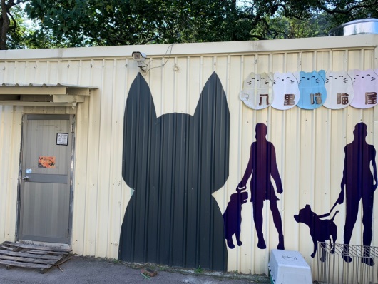 圖一：新北市八里公立動物之家的喵喵屋。