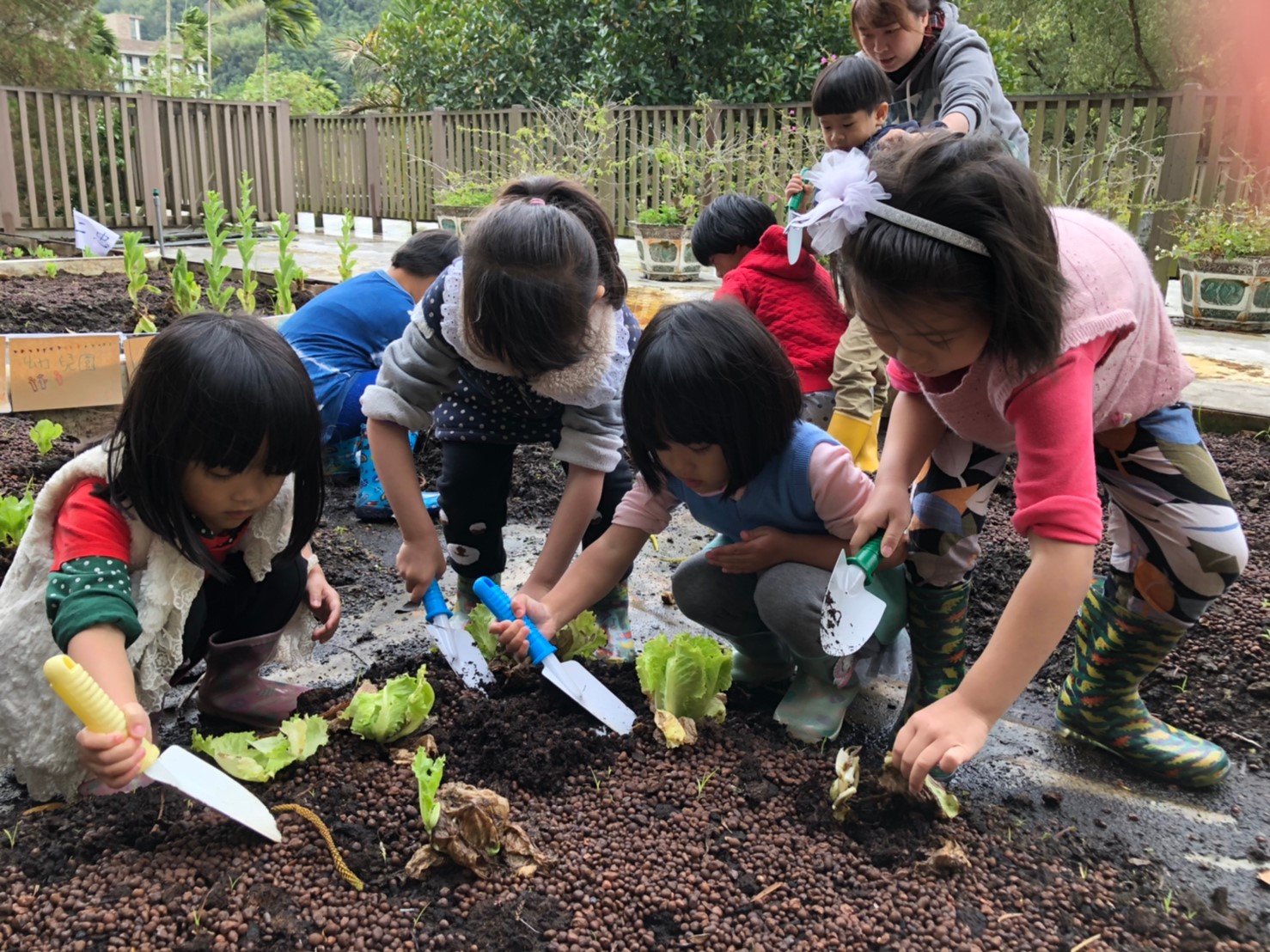 新北市三峽區插角國民小學的學生們從小在生態屋頂農場接觸土壤，親手種植及照顧，從中學習尊重生態