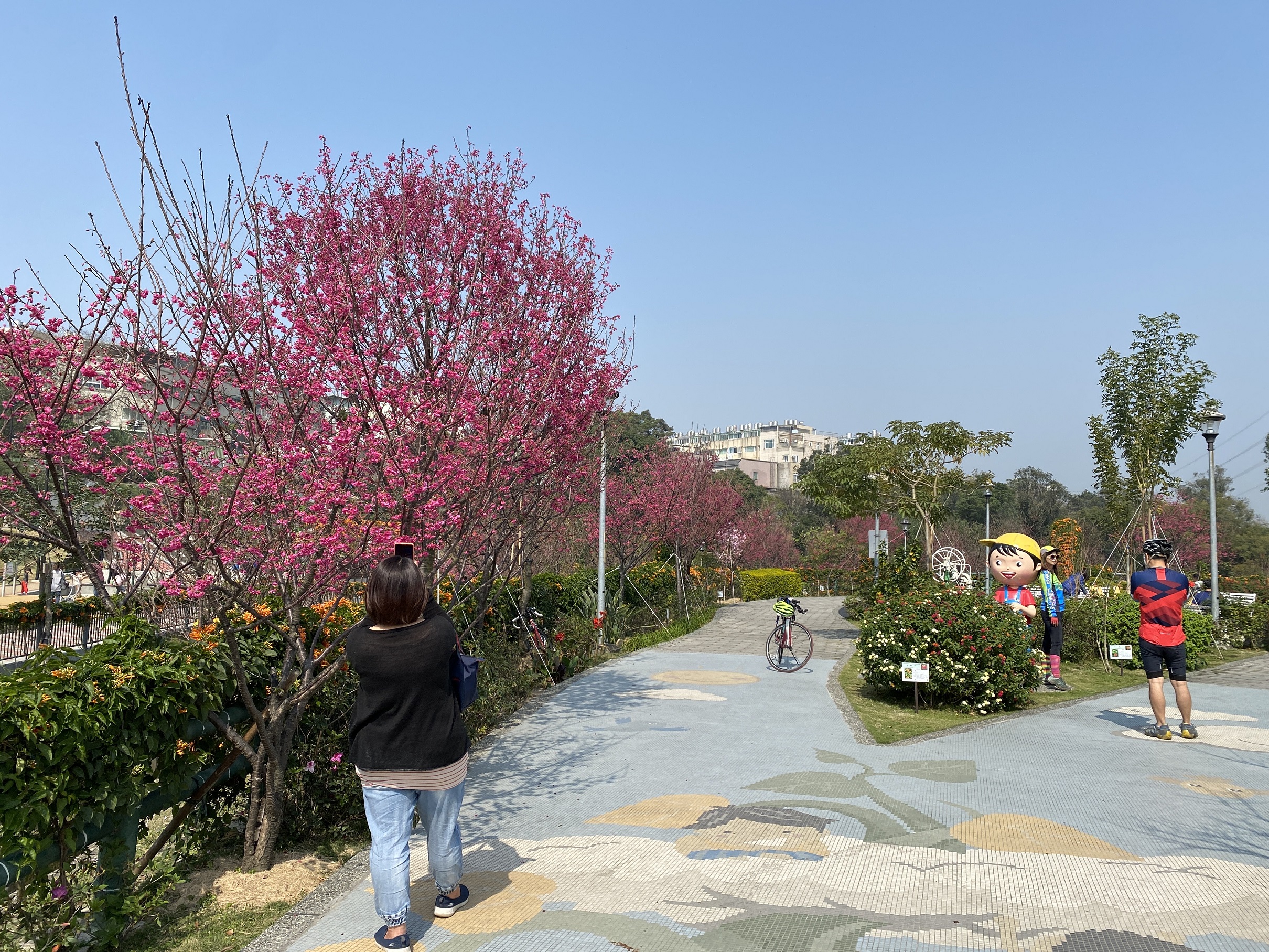園內櫻花種類眾多，自1月起陸續開花至4月初