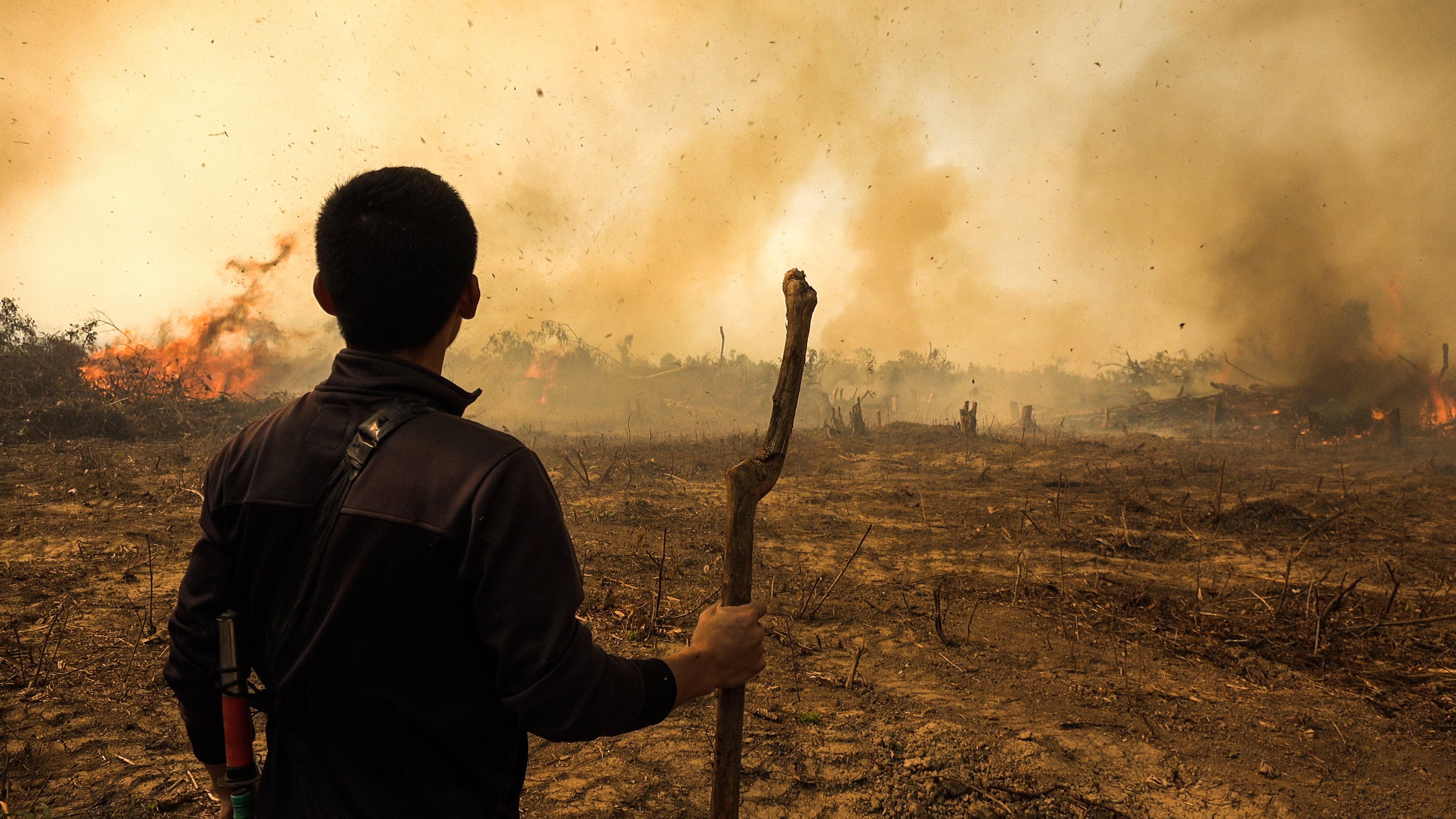 許鴻財《以啟山林》：緬甸北邊正在大規模地開發森林，一瞹間一片片樹木倒下，然後再放一把火將它燒盡。