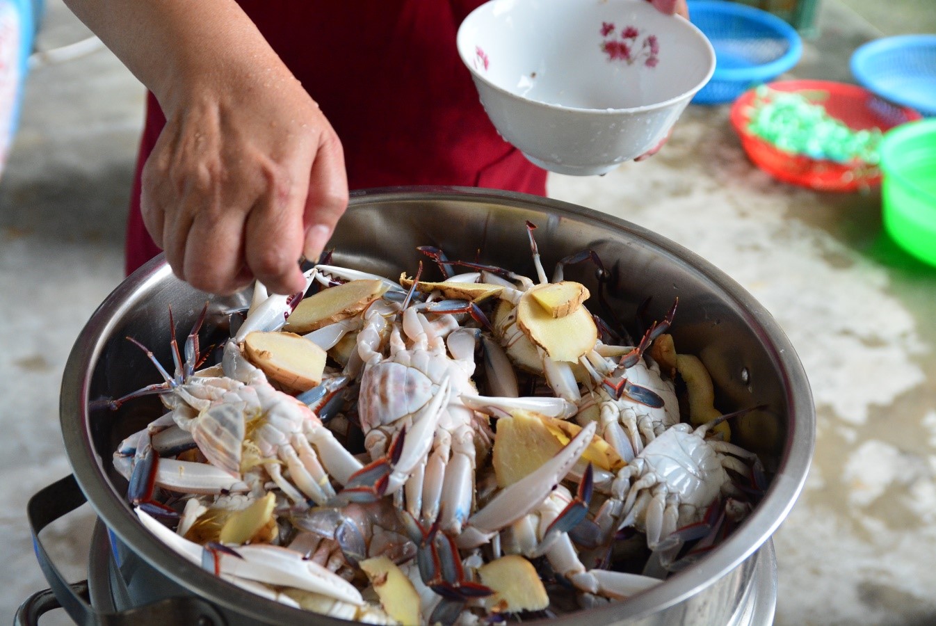 圖二：螃蟹達人接到民眾訂購後，將冰暈的萬里蟹倒扣在蒸盤上，放老薑片及米酒，蒸氣出來後計時15分鐘，熟度剛好。
