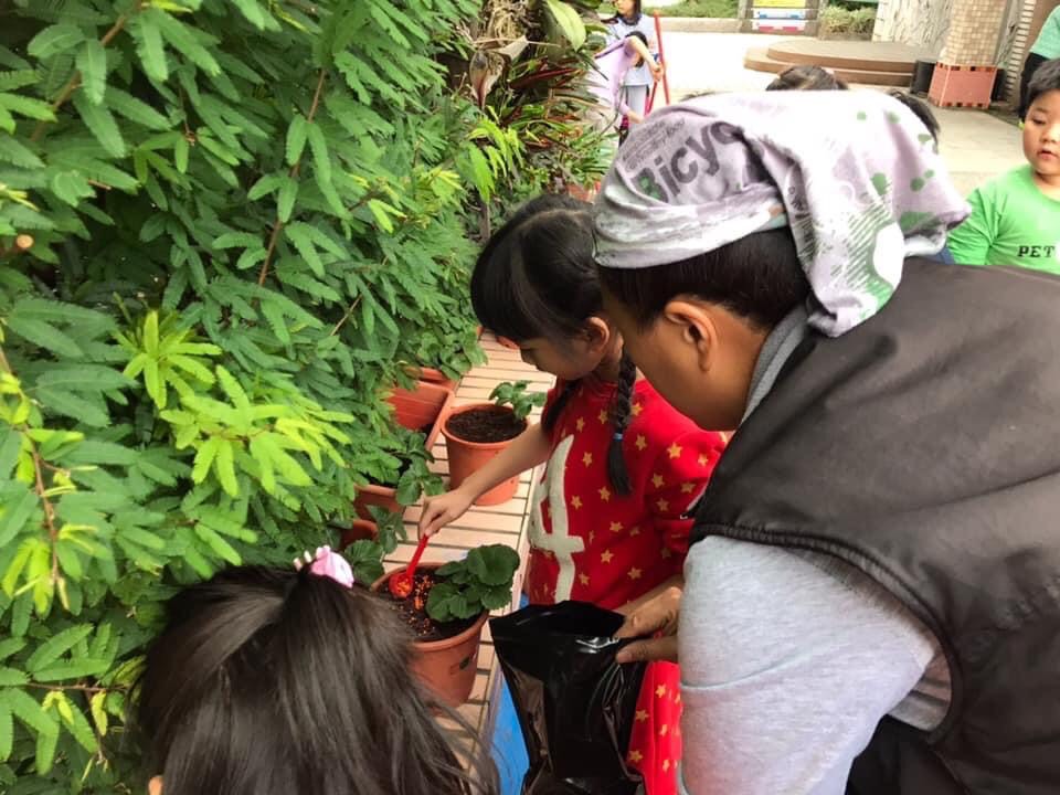 陳韻如至當地國小教導小朋友種植草莓