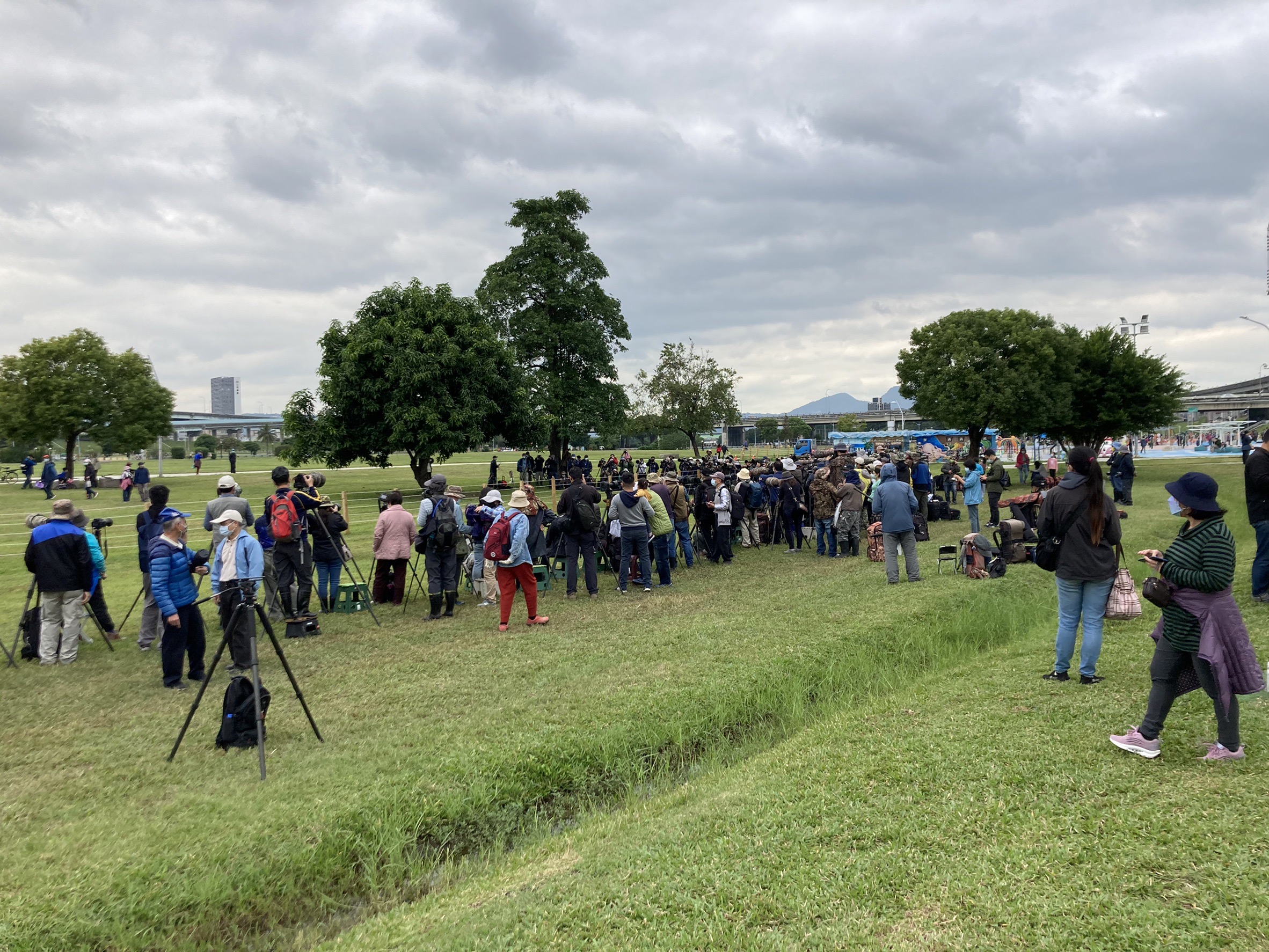 「沙䳭」一早便吸引一群愛鳥及攝影人士聚集搶拍