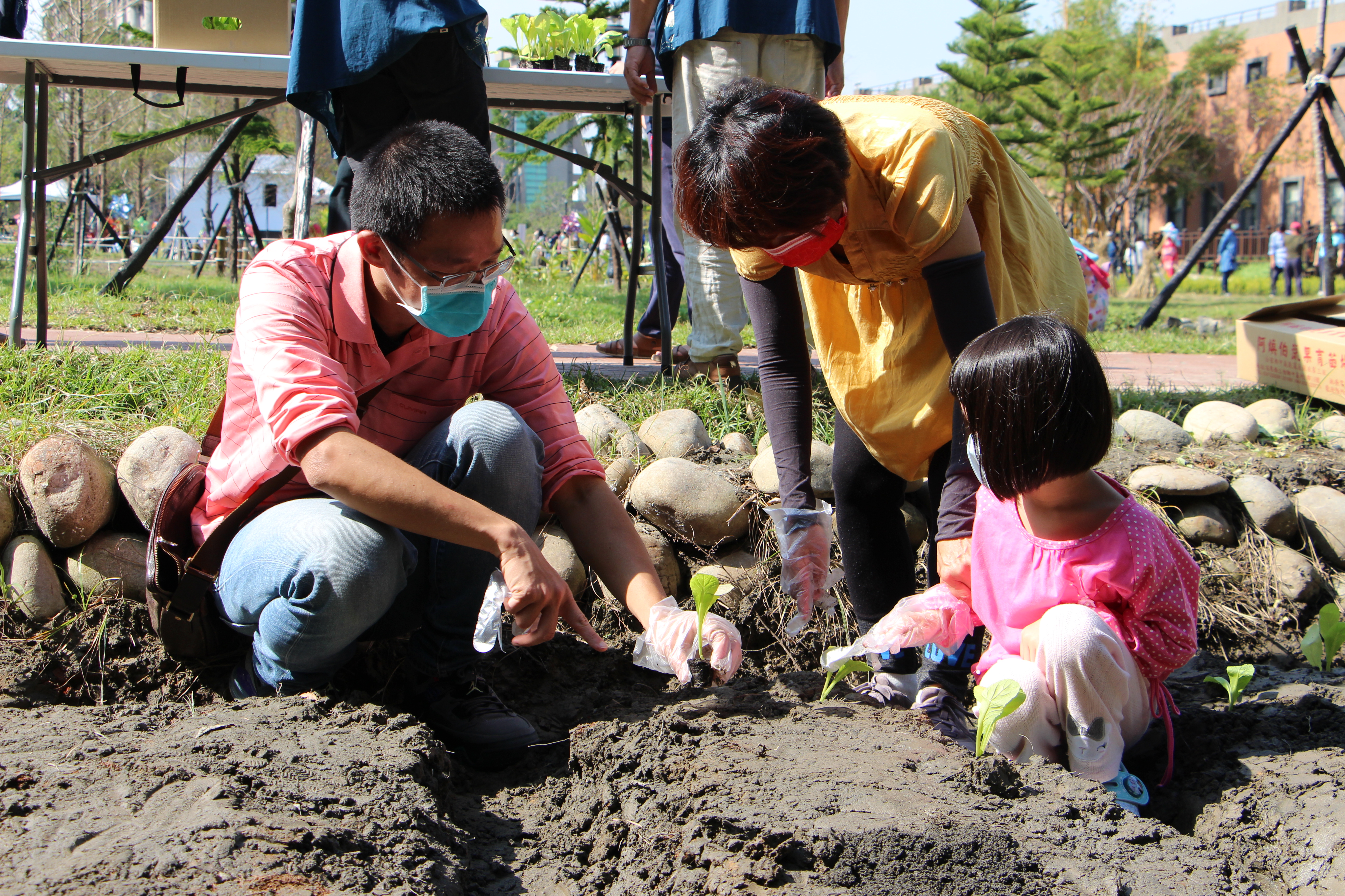 親子家庭於農事體驗區親種菜苗