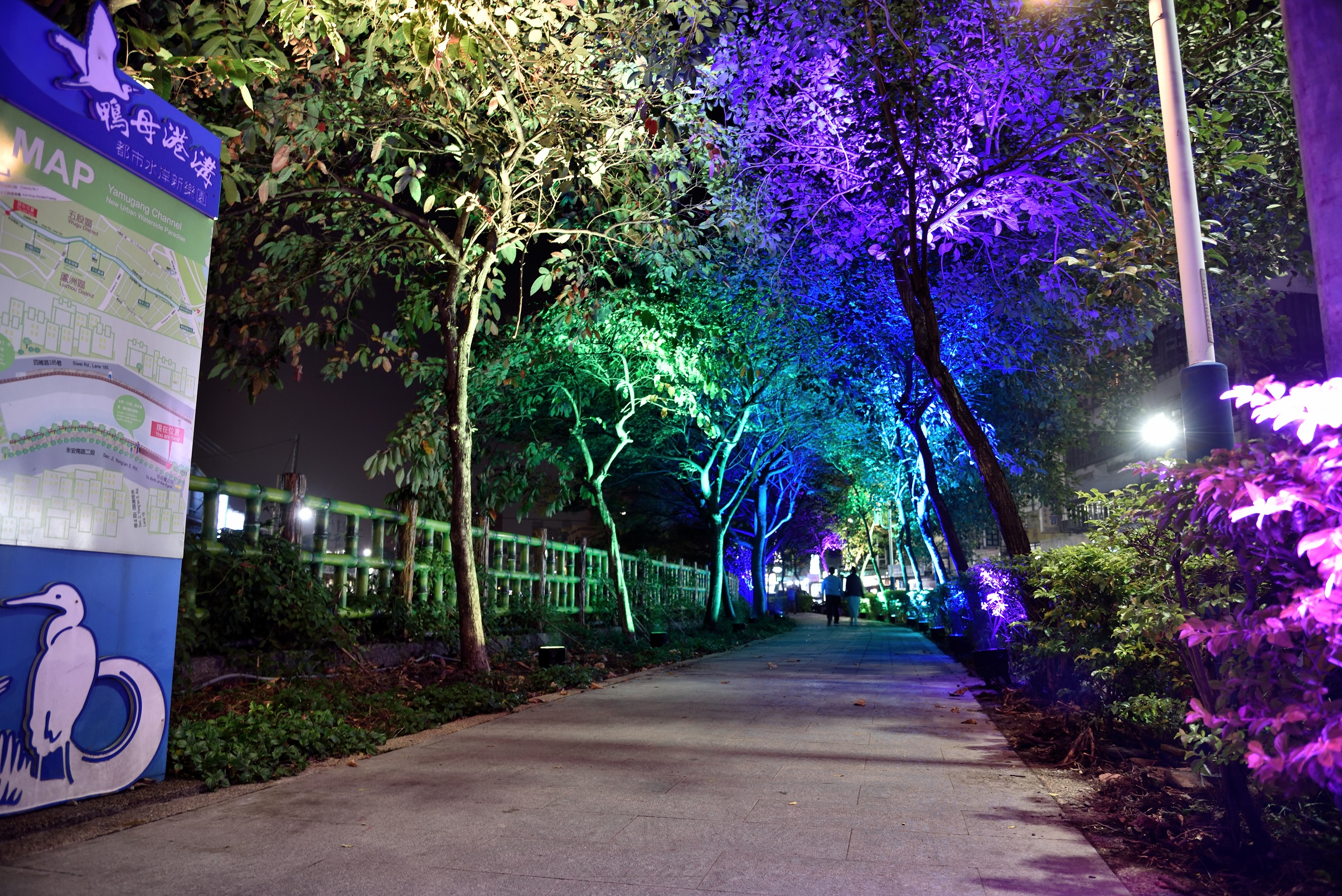 色彩斑斕林蔭步道，彷彿沉浸在奼紫嫣紅的夢幻世界