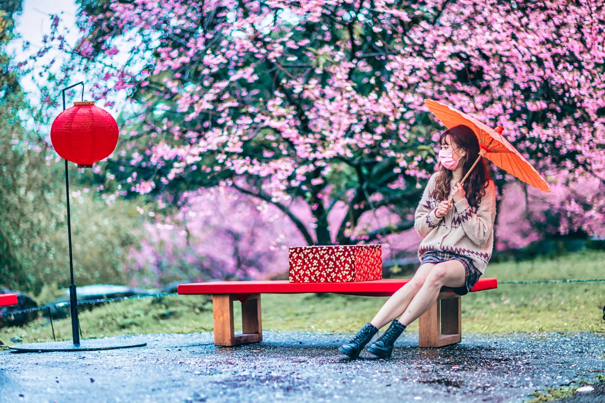 天元宮「櫻后」樹旁設置提供觀眾休憩的區域，邀請一路爬向山頂的觀眾觀賞優美的櫻花，悠閒地與家人朋友聊天