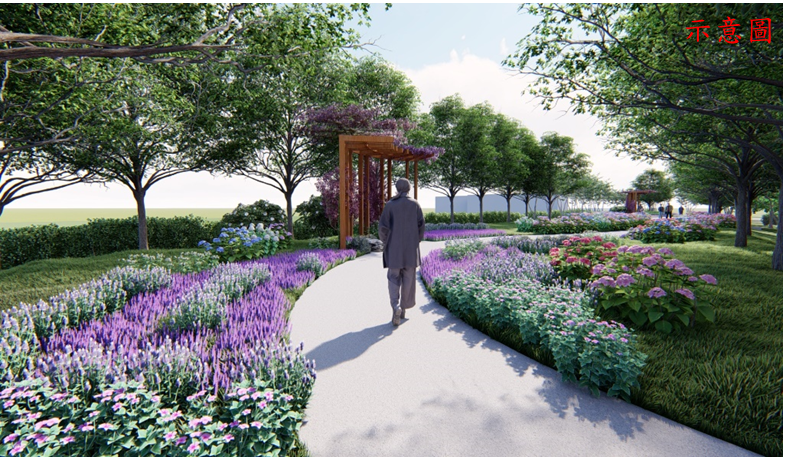 新設自然步道尾端串聯鄰近萬坪公園，沿路兩側種植香草植物