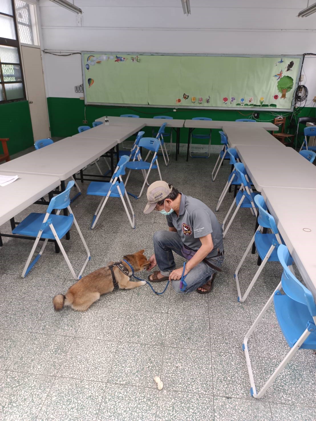動保處媒合訓練師到校訓練校犬「柴哥」。
