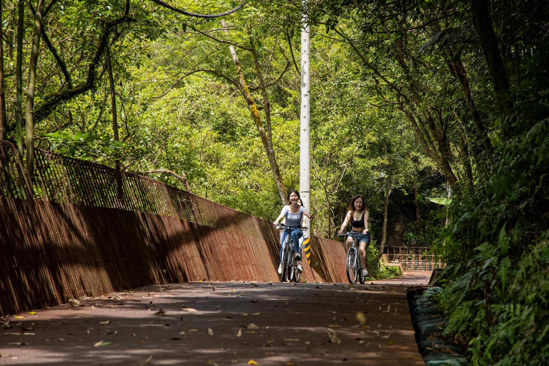 三貂嶺生態友善隧道沿線上也有綠樹成蔭的景緻,相當舒適