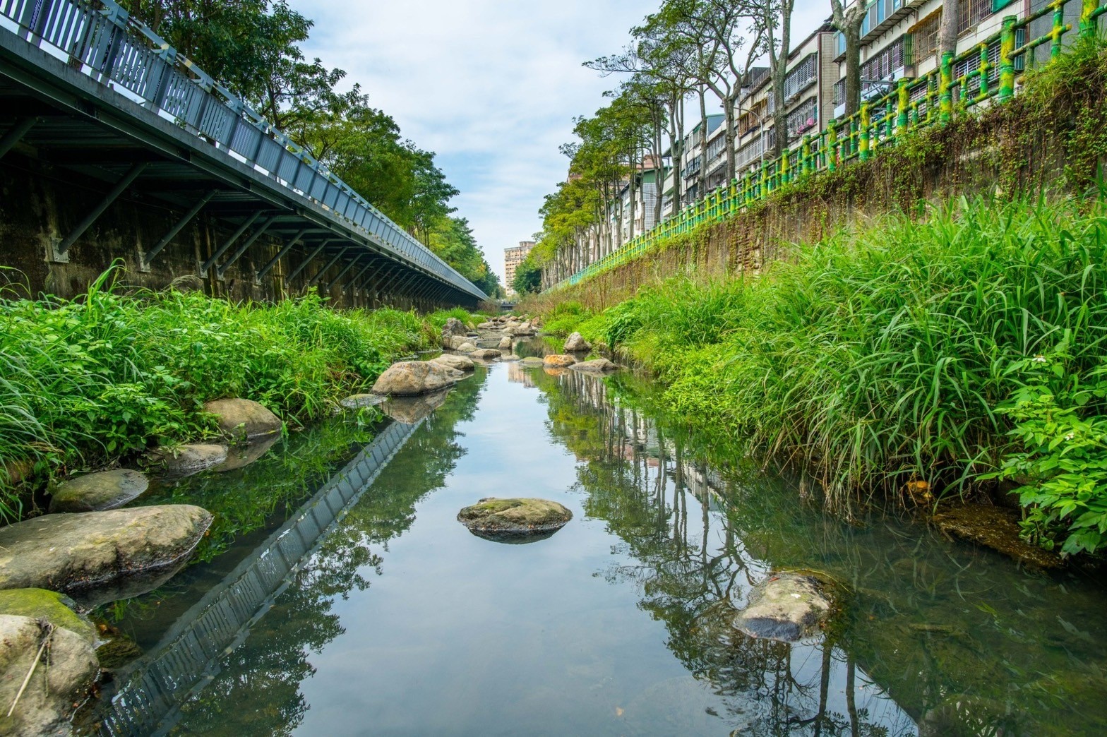 藤寮坑溝一期水環境營造計畫後，河道已轉變成綠意盎然、充滿豐富植生的近自然溪流，獲得地方好評且榮獲諸多獎項。