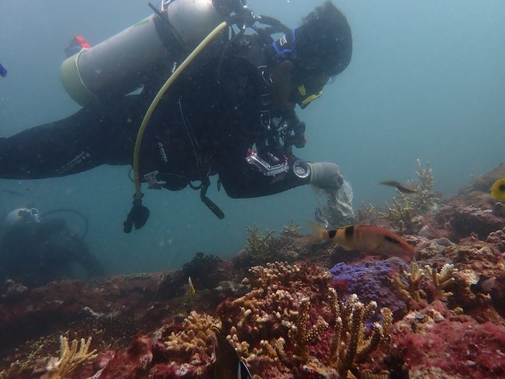 珊瑚移植團隊在珊瑚移植後陸續照顧珊瑚