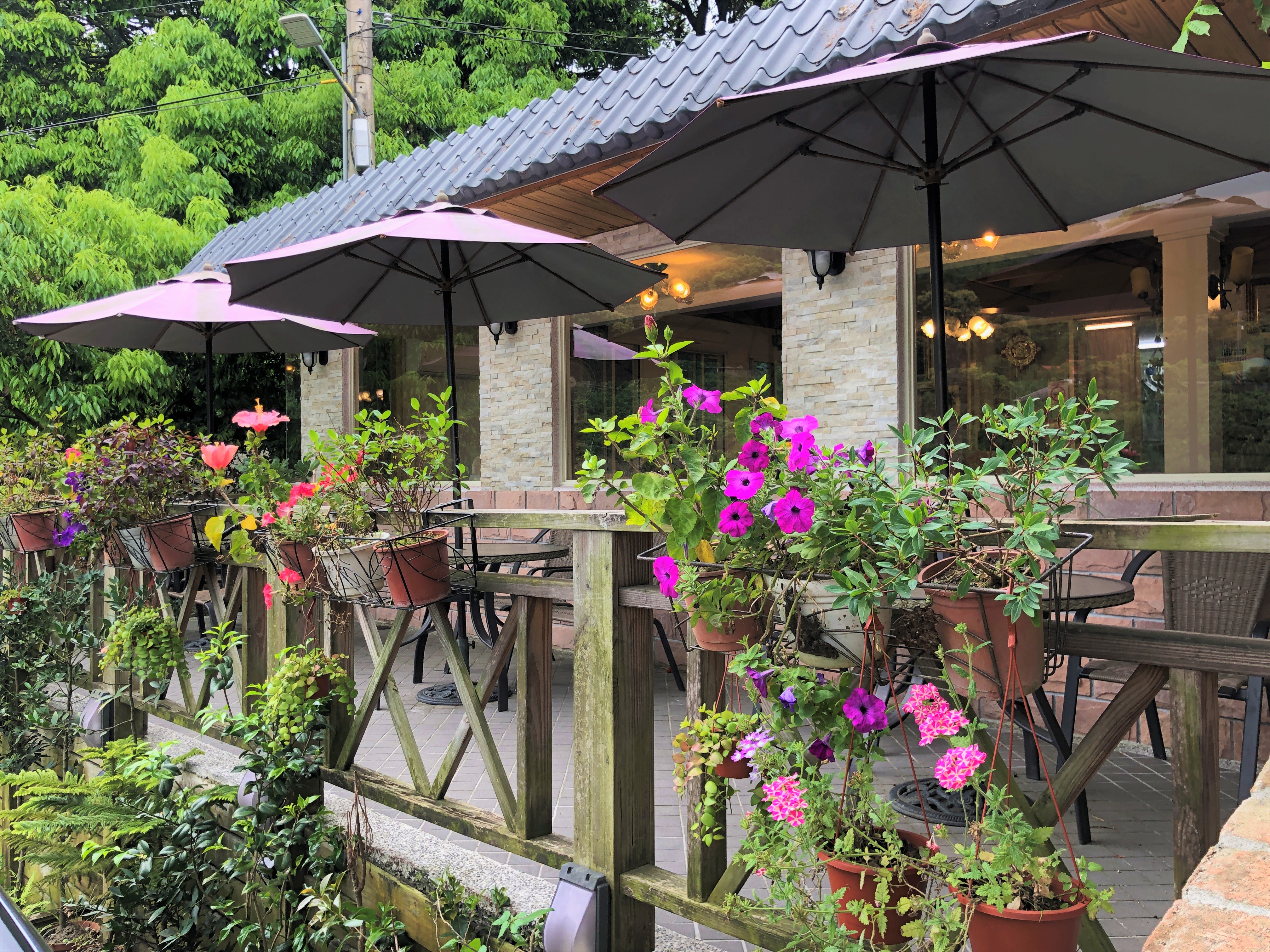 紫藤花藝村是八里區第一家森林花園主題餐廳，3、4月來此還可趕上紫藤花季
