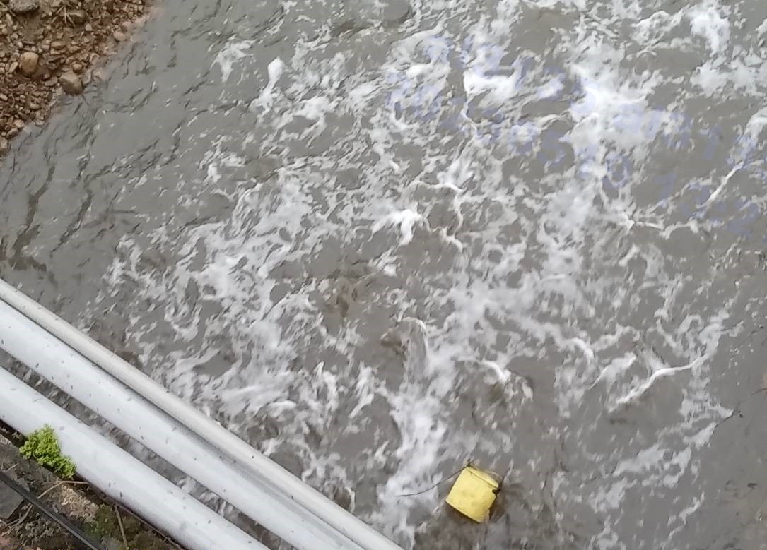 2.水碓窠溪發生泡泡污染事件，稽查人員到場稽查並採集水樣