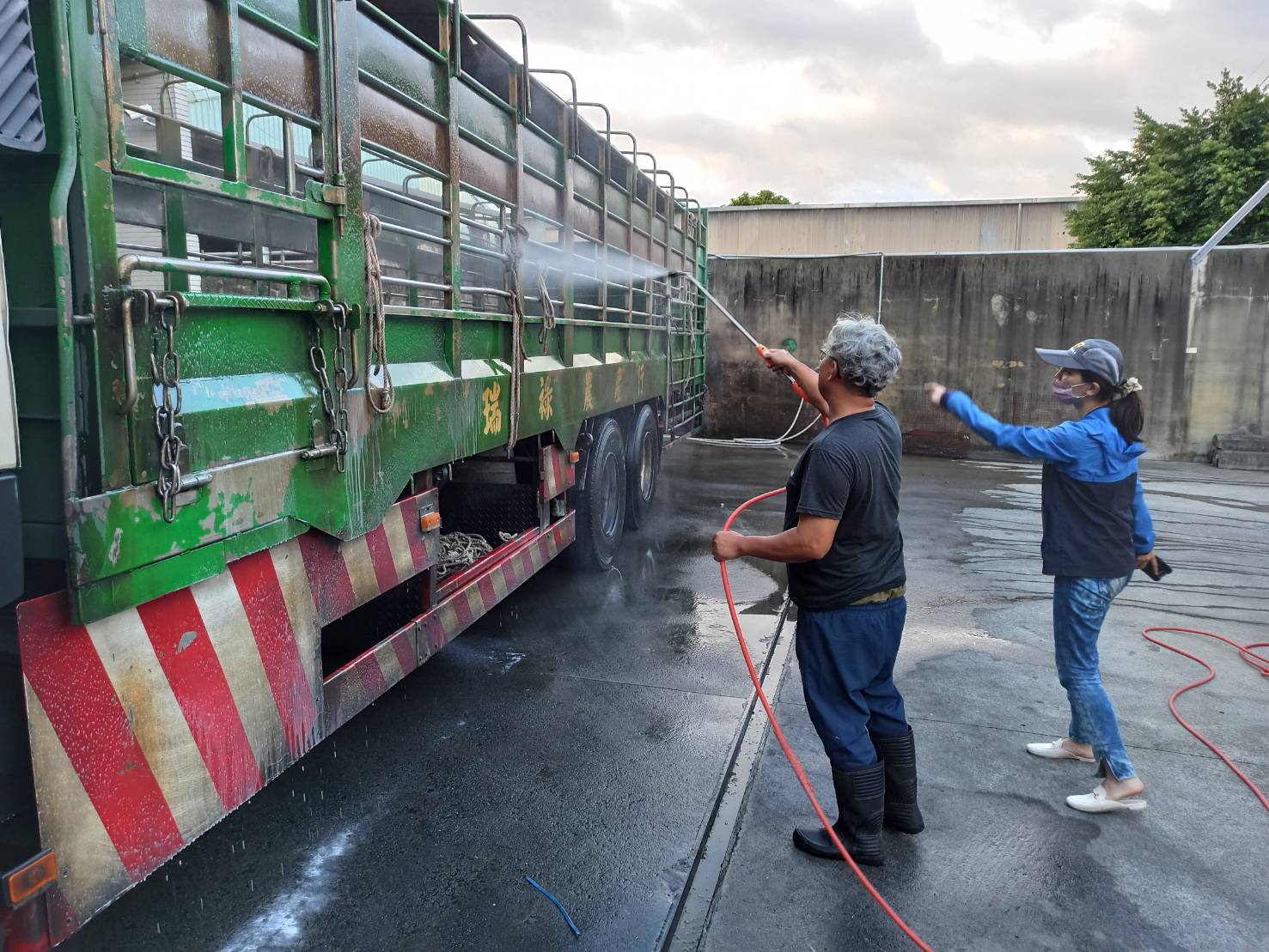 防疫人員協助督導運送家禽及蛋品的車輛