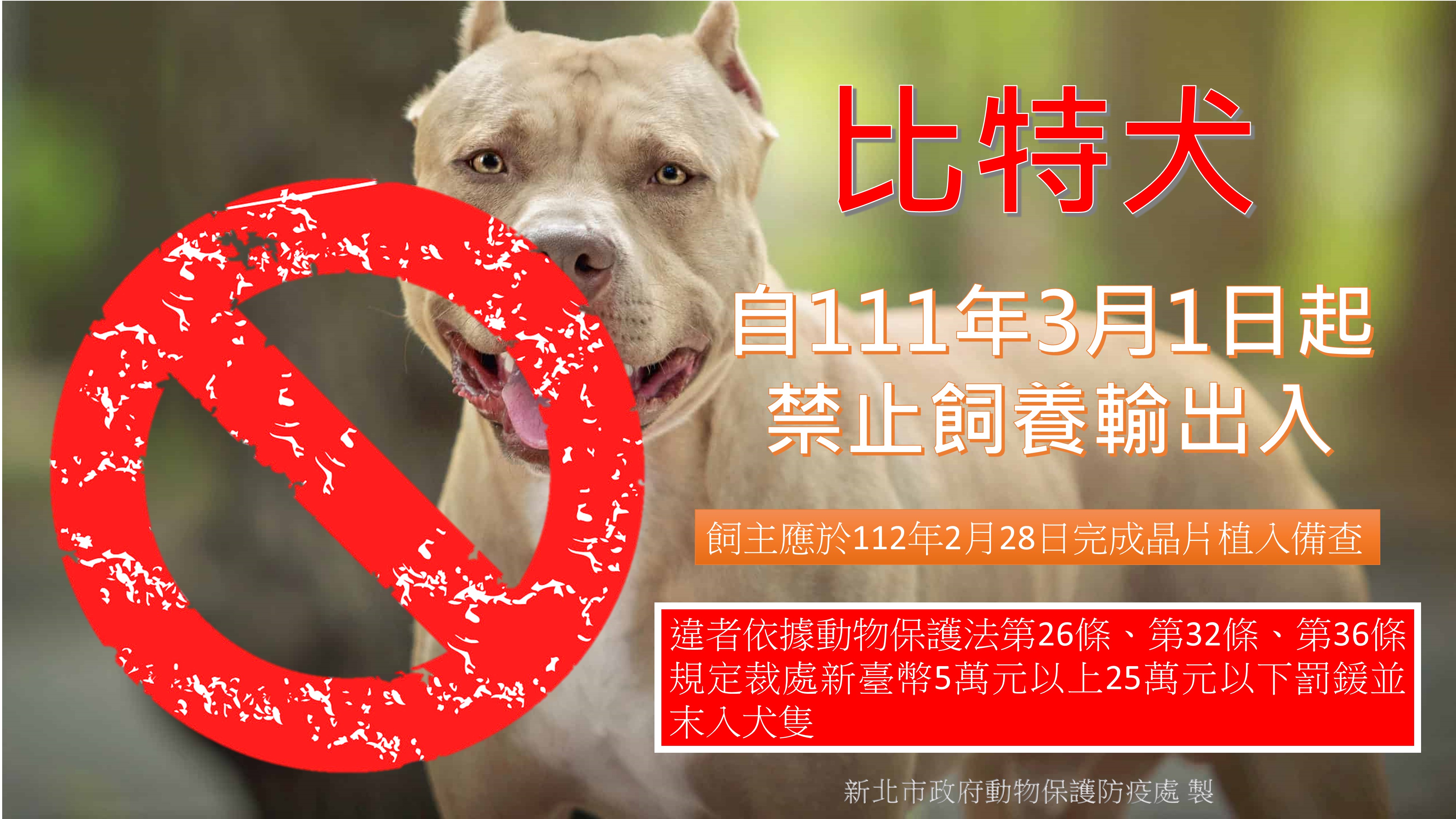 行政院農業委員會公告111年3月1日起禁止飼養比特犬，針對已飼養的飼主應於112年2月28日前辦理寵物登記，完成備查