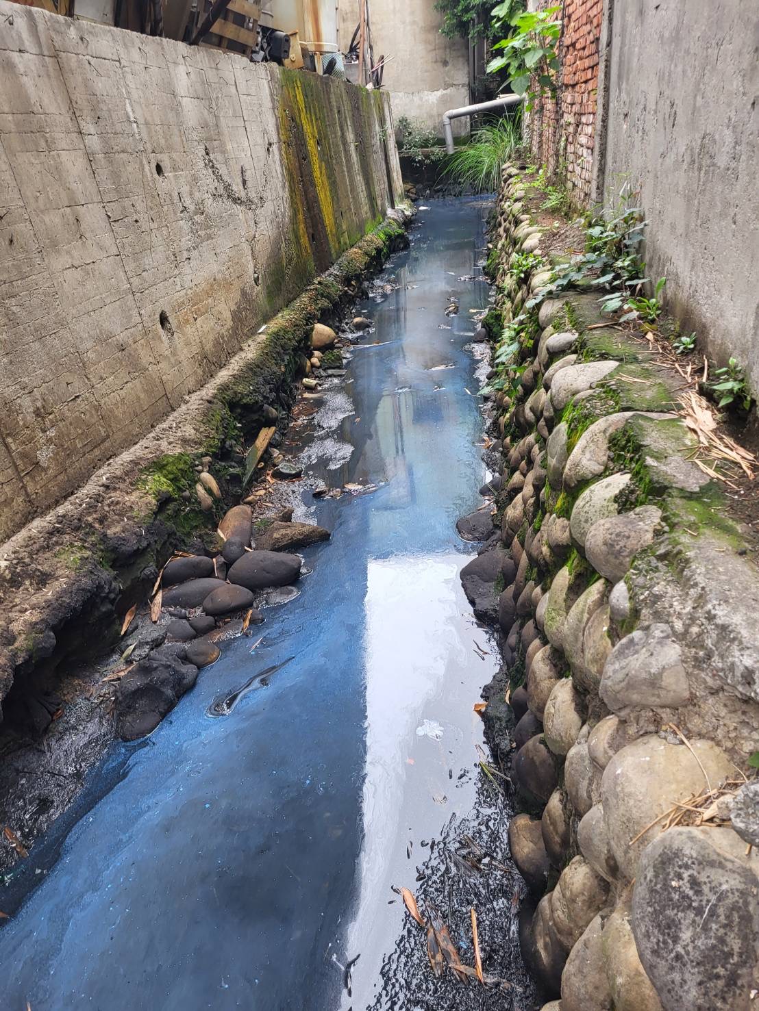 1.藍色油漆倒入水溝污染溝渠