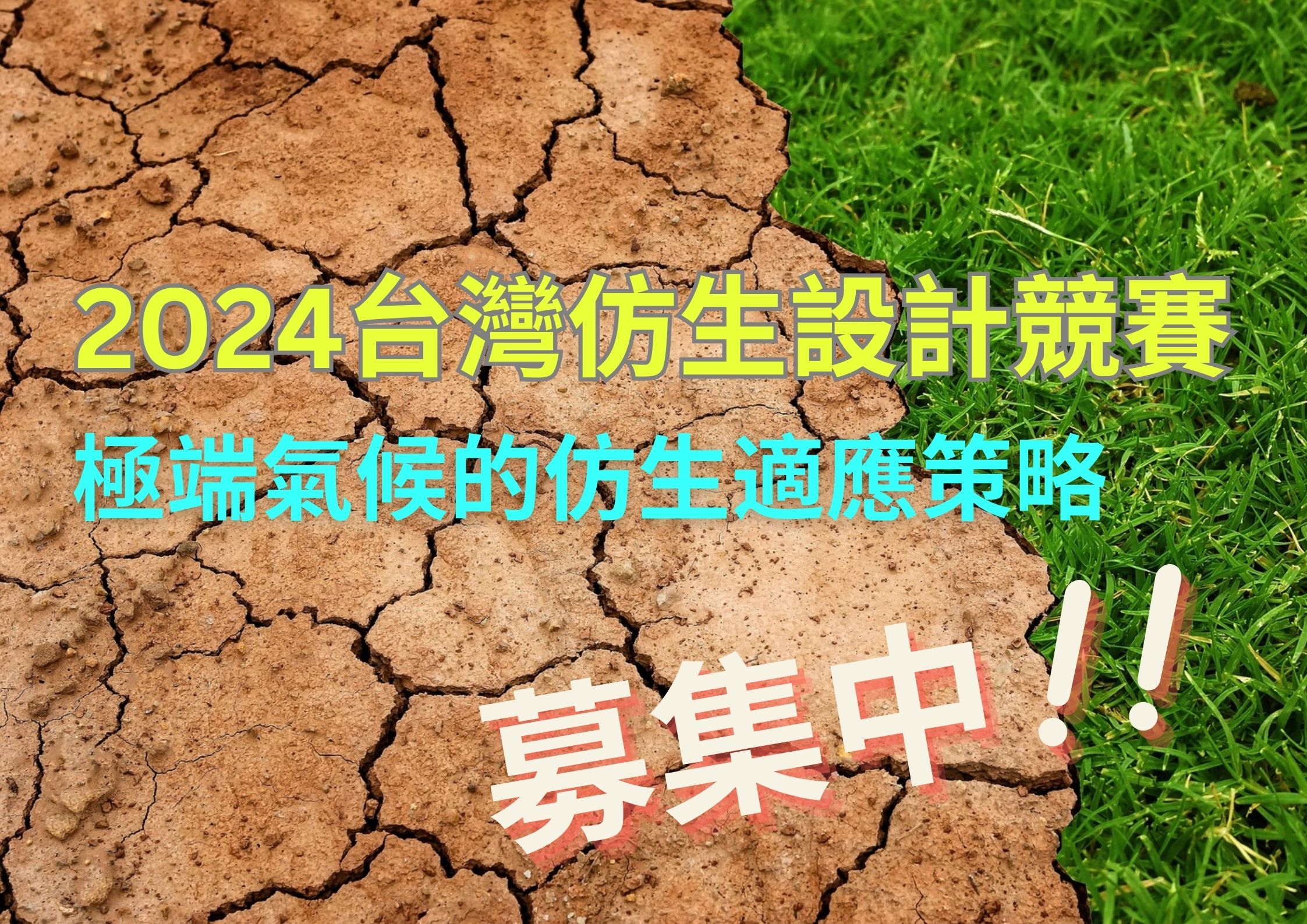 台灣仿生設計競賽徵選海報。(資料來源為台灣仿生科技發展協會)