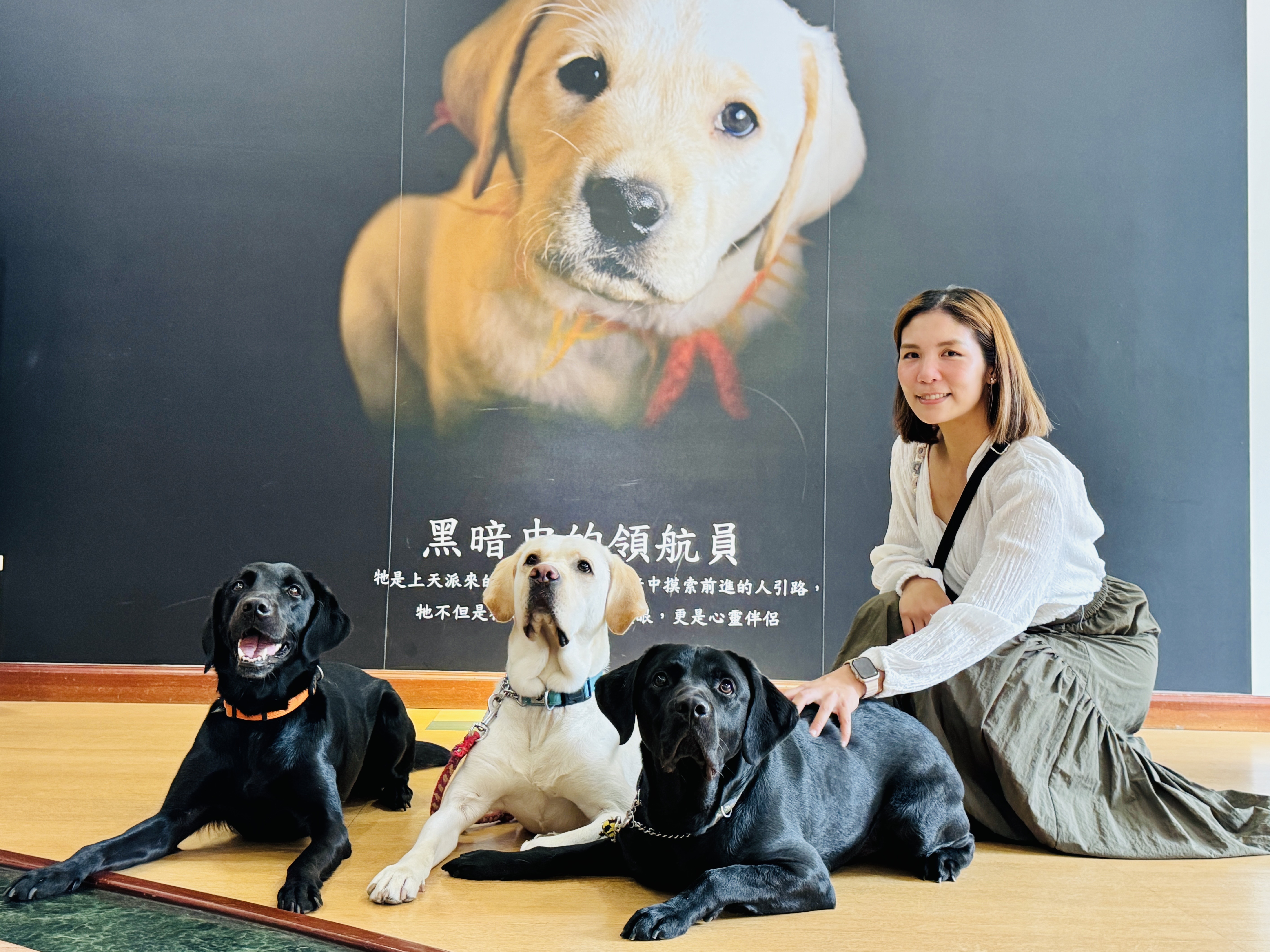 淡水古蹟博物館的「國際導盲犬日－淡古歡迎毛勇士」活動會進行導盲犬的古蹟異地受訓，大家不但可以從旁觀察，還能與牠們合影。