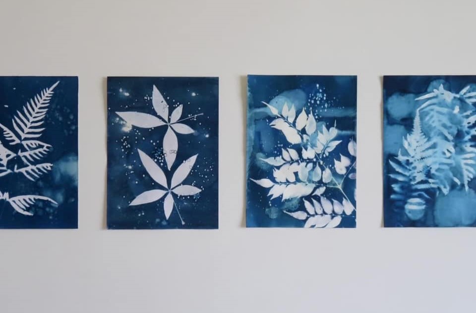  「福茶苑」認識茶園生態紋理，用植物藍曬創作自己的明信片