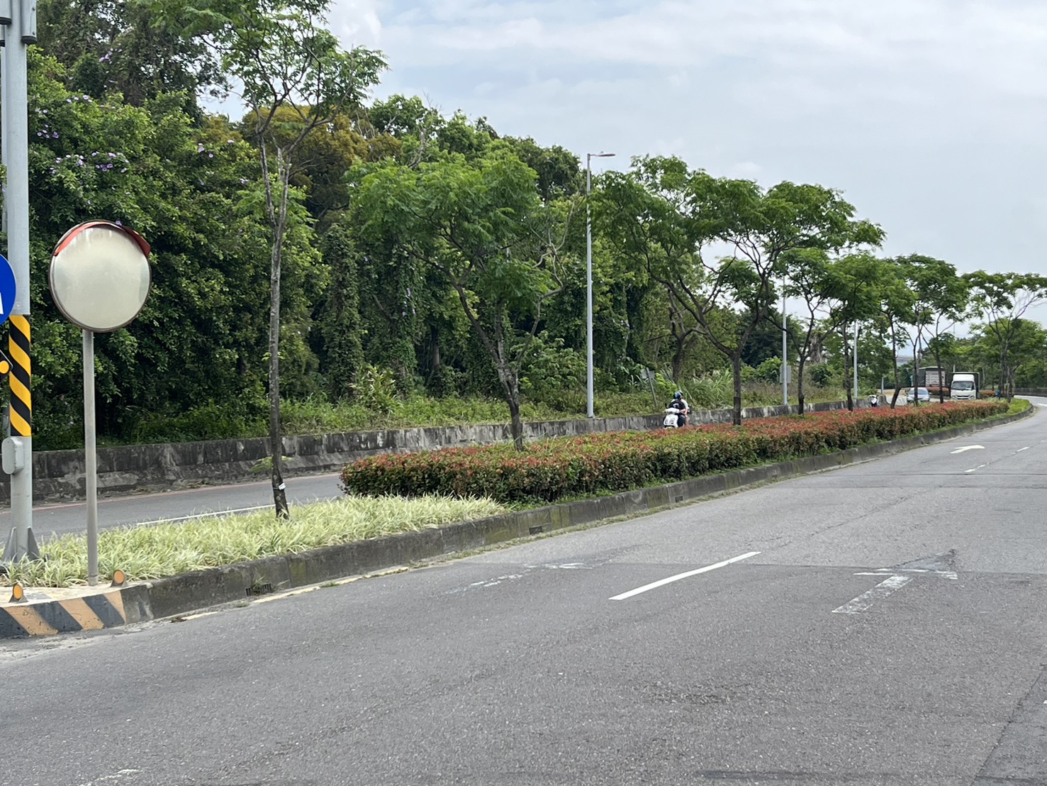 新北景觀處在館前路前往新北美術館沿路中央分隔島的樹木及植栽,配合世壯運打造了長約1.5公里的景觀綠廊,以美化道路景觀兼顧交通安全