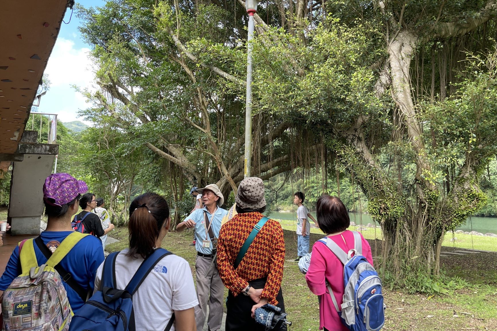 茶鄉一日走讀巡禮坪林生態茶園及水岸「白鷺鷥公寓」現場每梯次開放10人報名