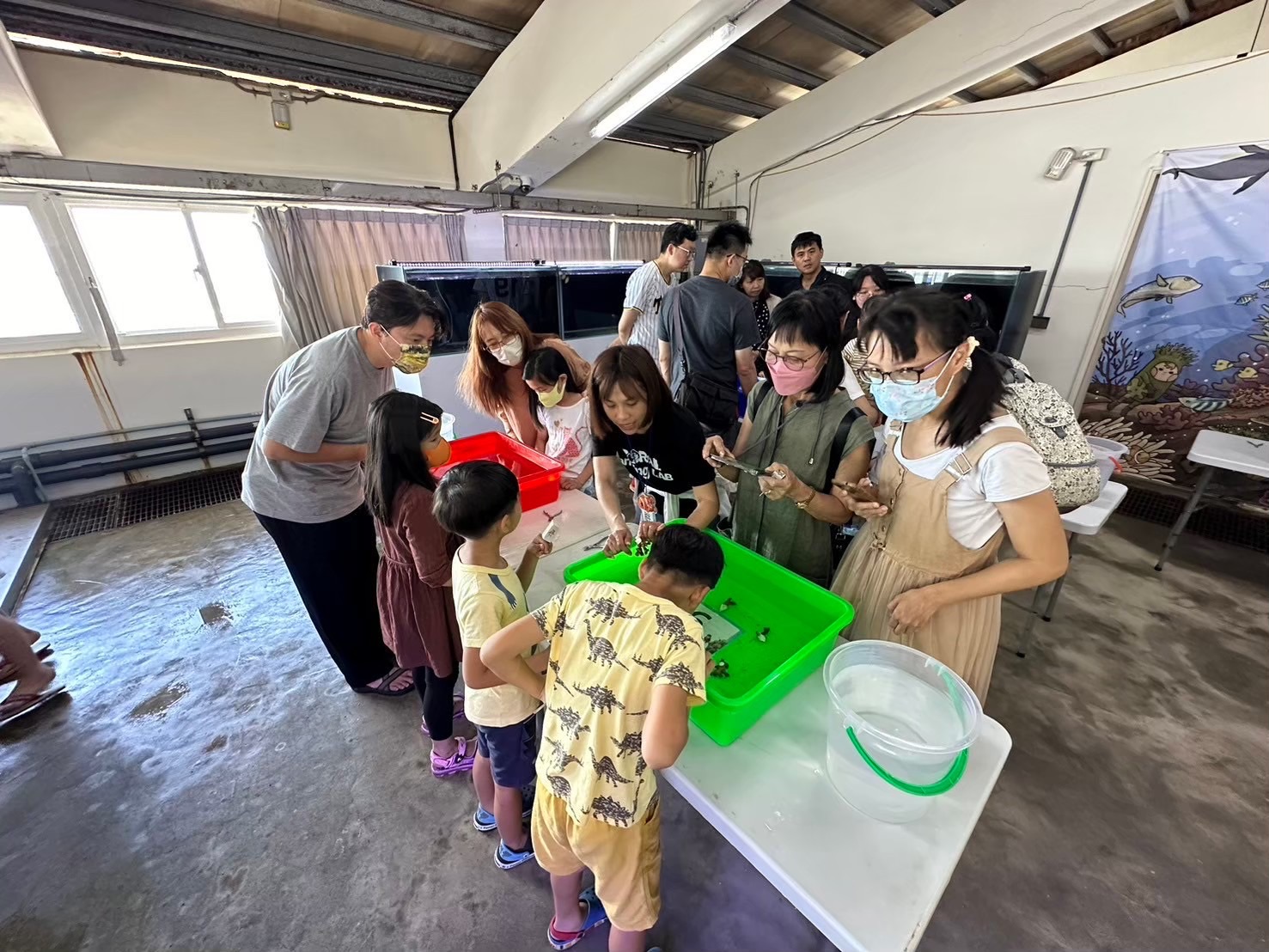 圖片來源:新北市政府