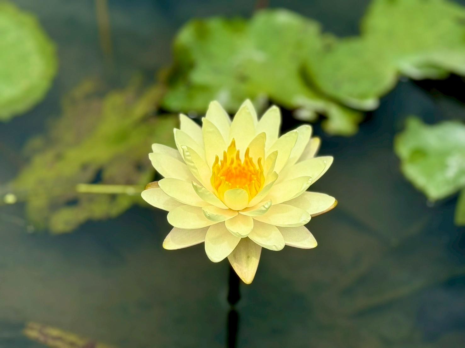 圖片來源:新北市政府